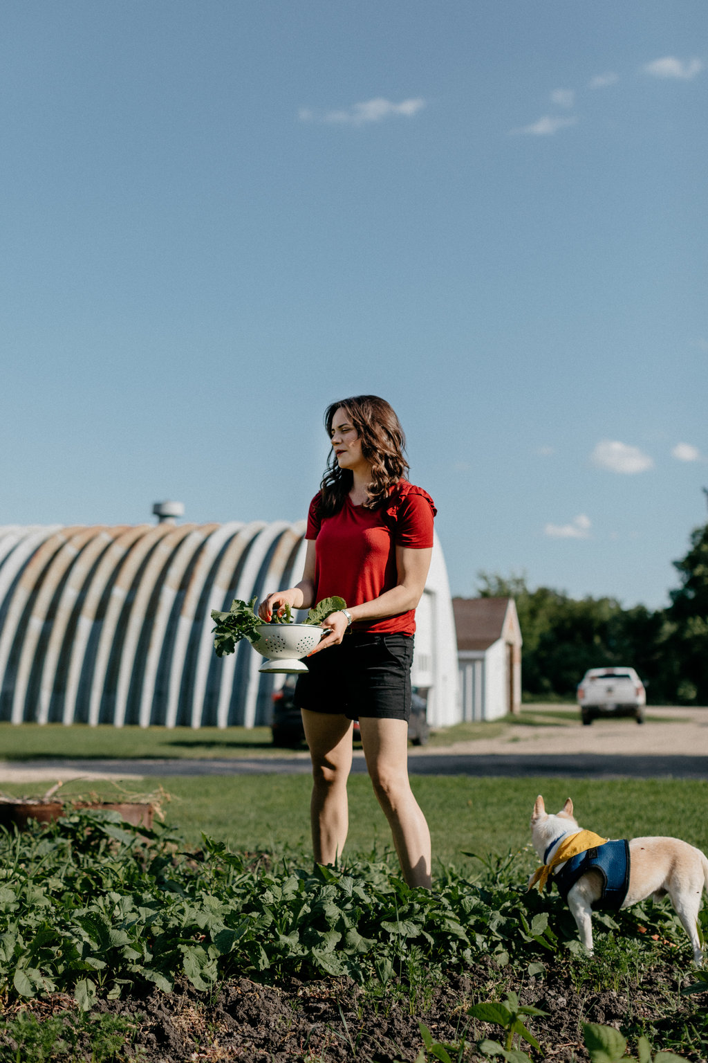 mollyyeh_oliveoildinner-6.jpg