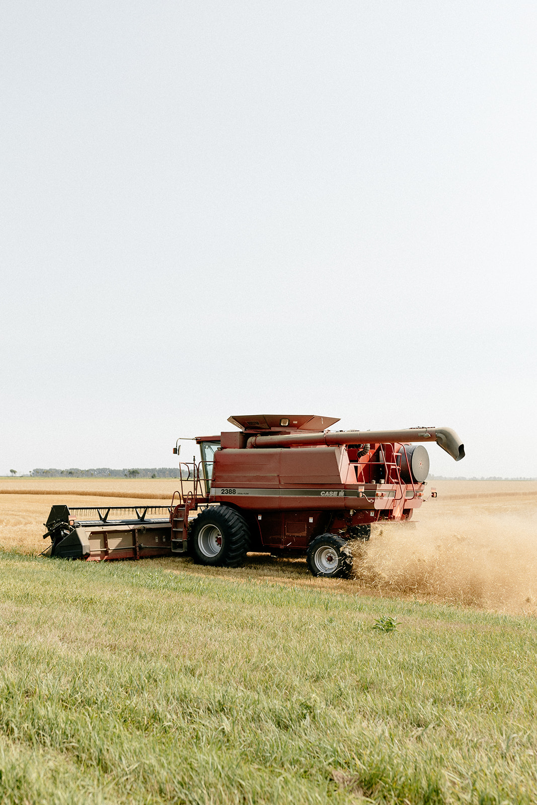 molly-yeh-wheat-harvest-apple-honey-pizza3.jpg