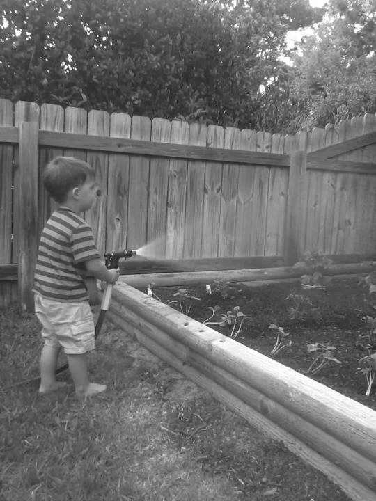 How to : Water Conservation - Sprinkler System- Free Rain Sensor install!