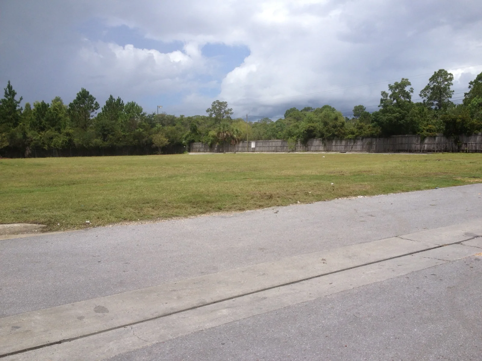 IMG_2239.jpeg