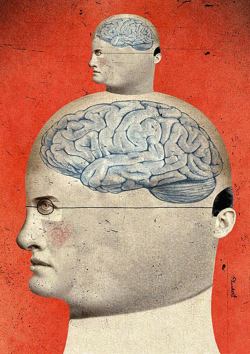 Pea-Brained: Microbrain Could Yield Maximum Payoff
