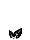 leaf.jpg