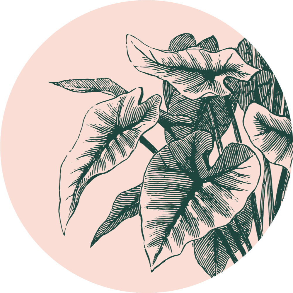 The-Potted-Planter_Icon_Pink-Illustration.png