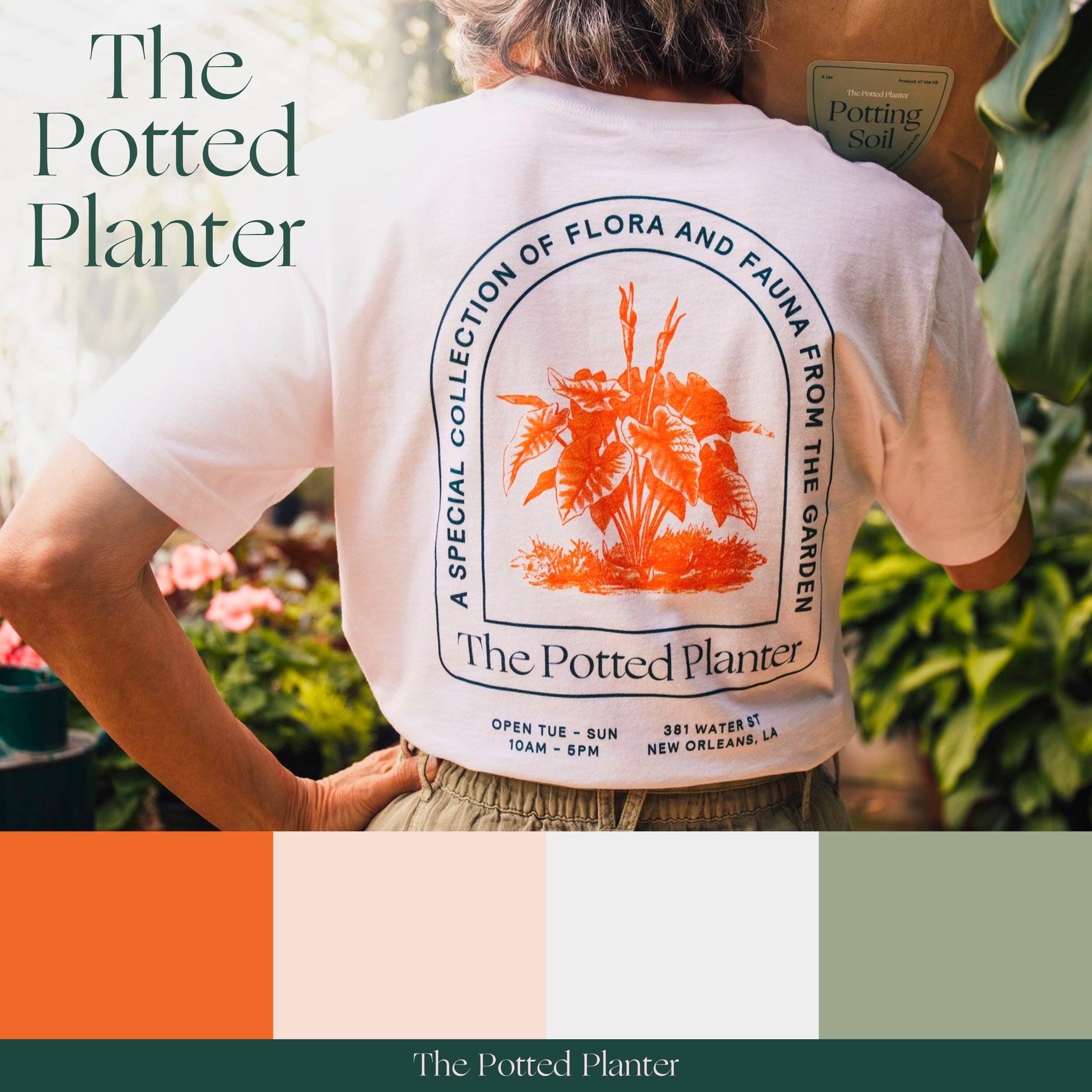 2021 Fictitious Brand - Potted Planter.jpg