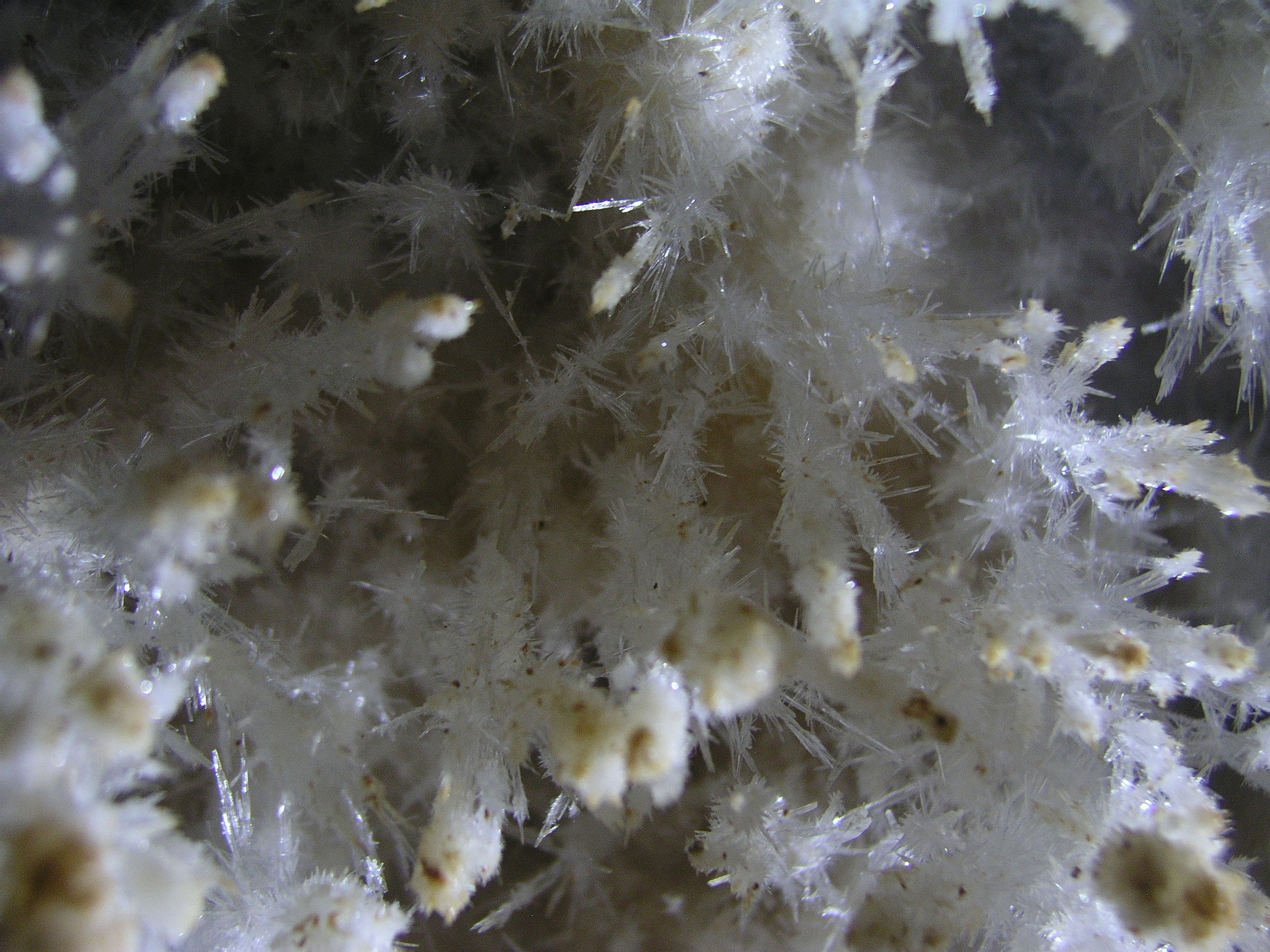 Crystals. Bullstud Cave, WVa