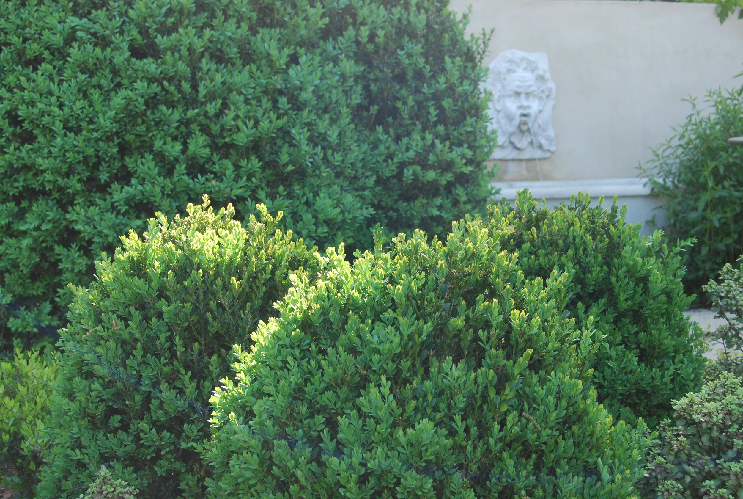 DSC_0060.JPG