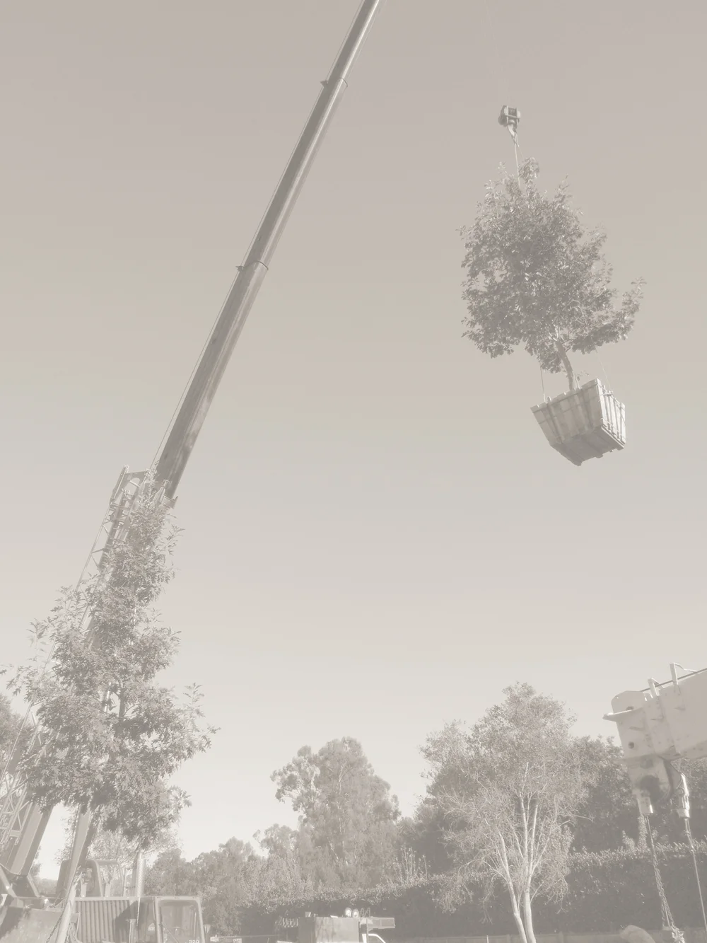 About — Christine London Ltd.