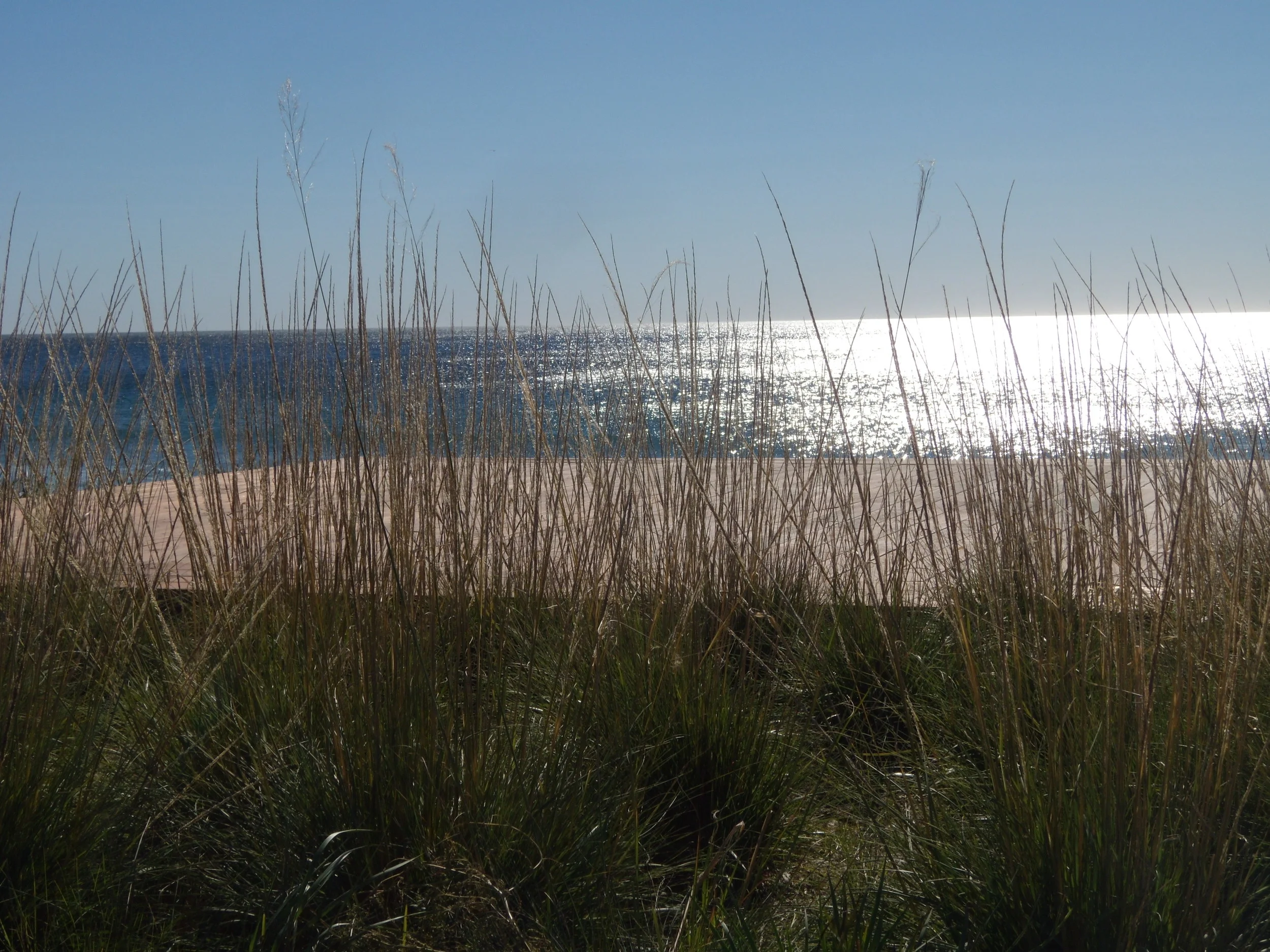 DSCN1471.JPG