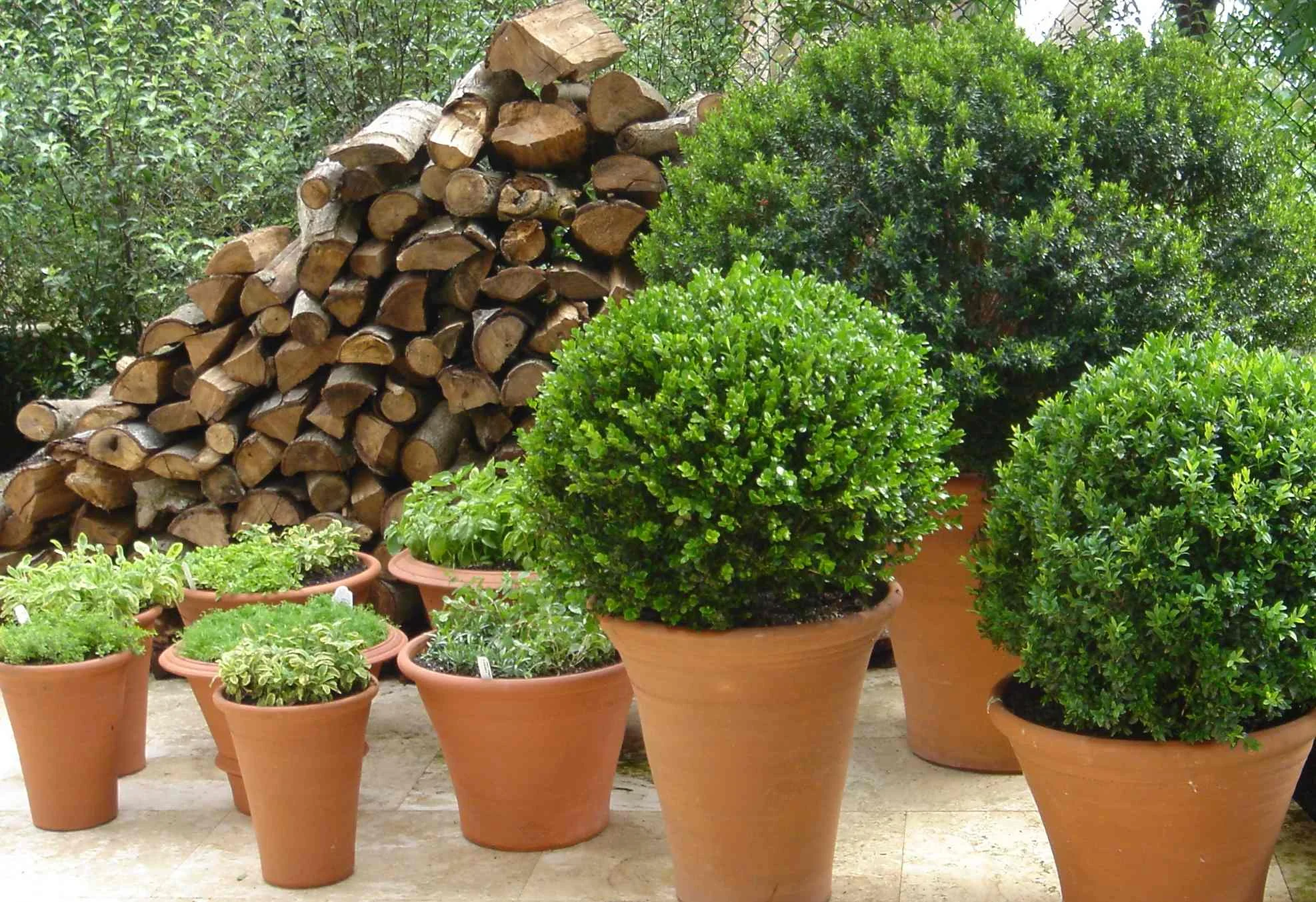 bbq area pots.jpg