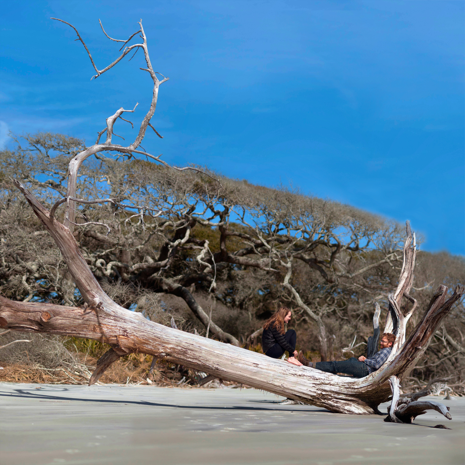 February 14th, 2015 | Sapelo Island, GA