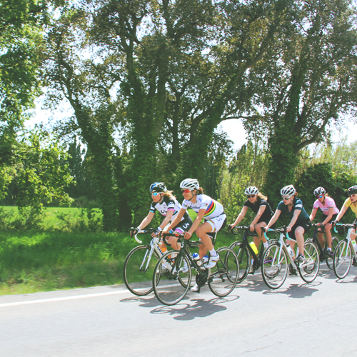 Marianne Vos and her friends