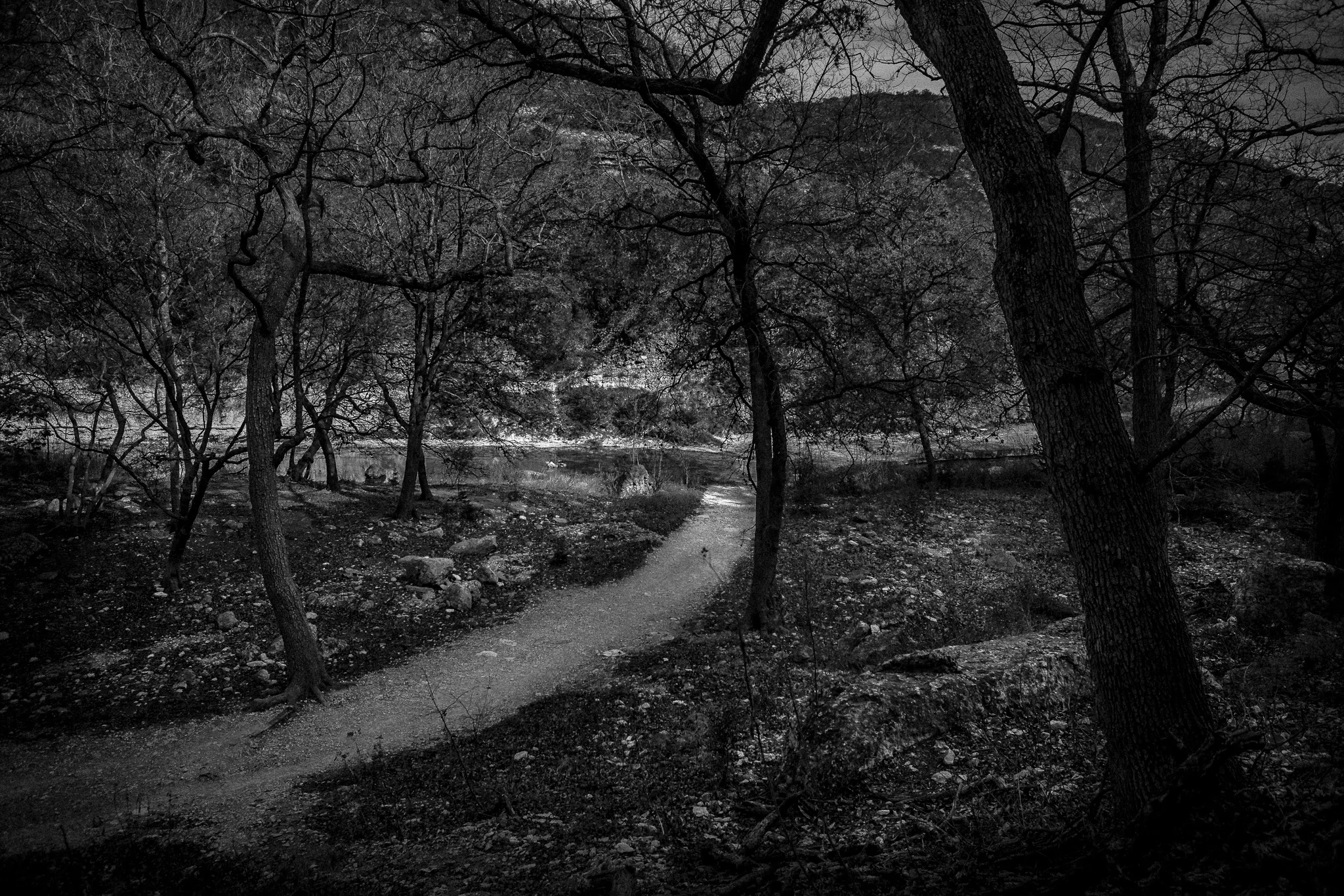 Lost_Maples-_D3_0880-15.jpg