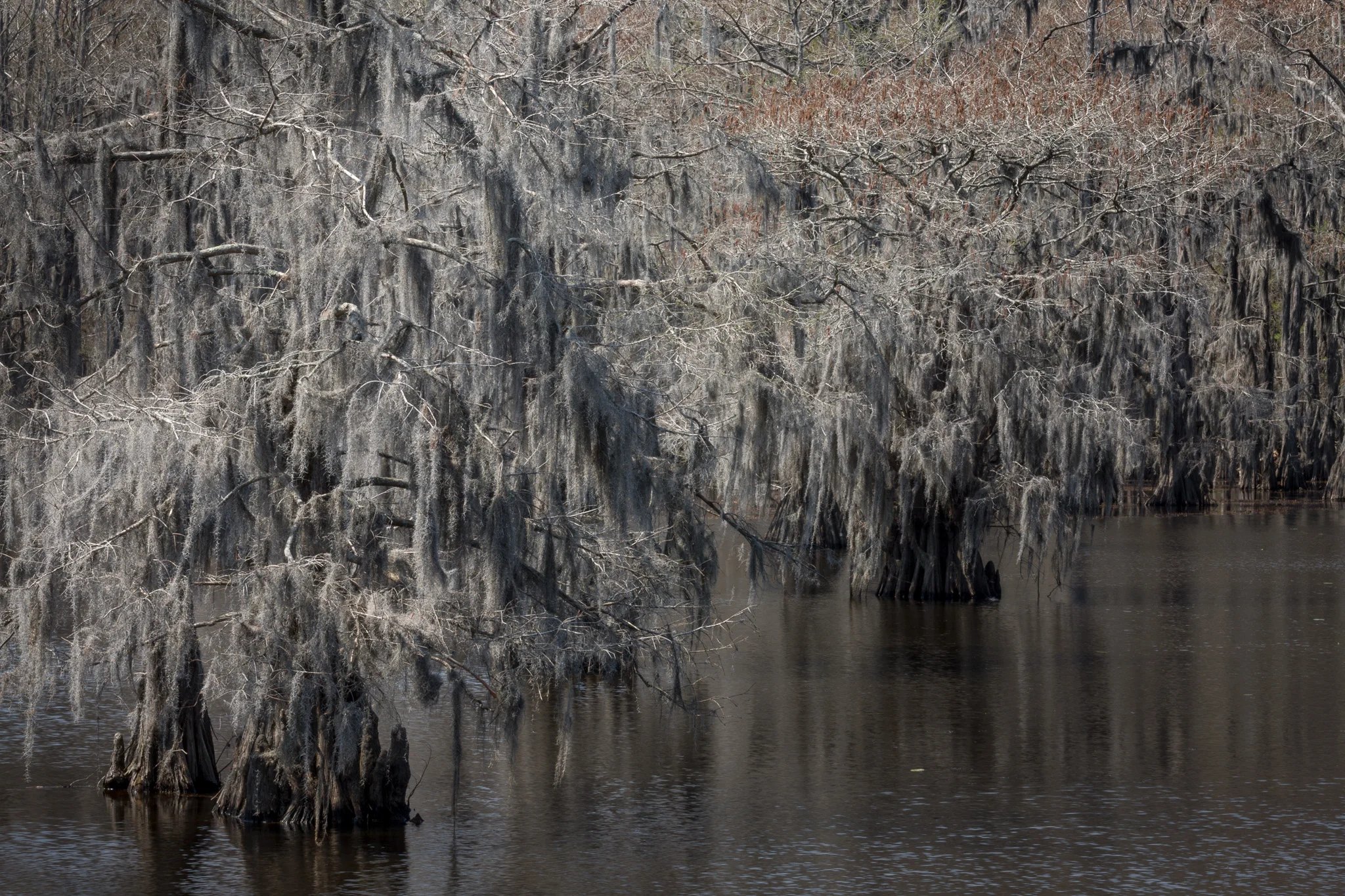 Caddo-LSS-0270.jpg