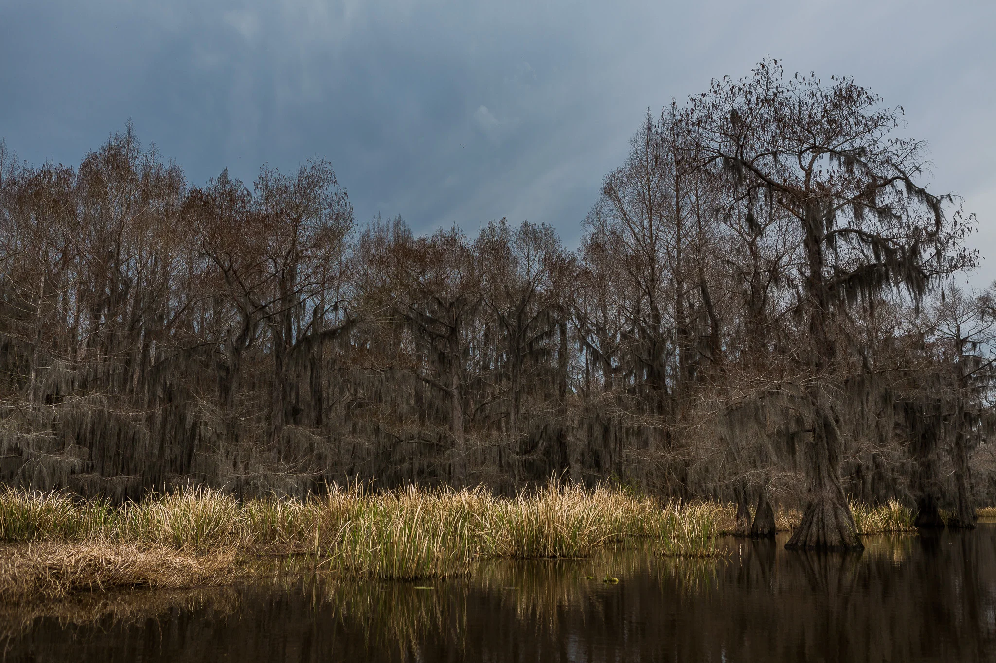 Caddo-LSS-0355.jpg