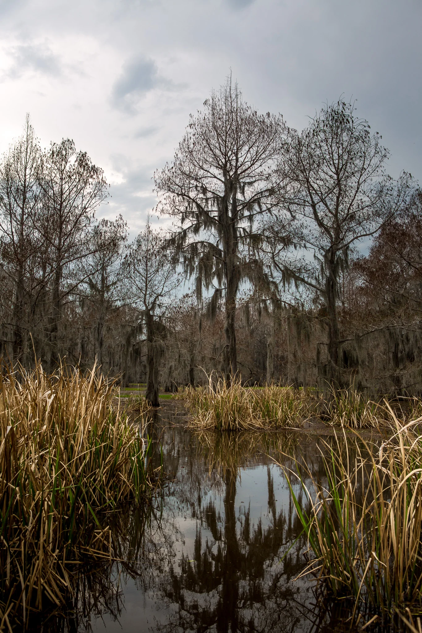 Caddo-LSS-0365.jpg