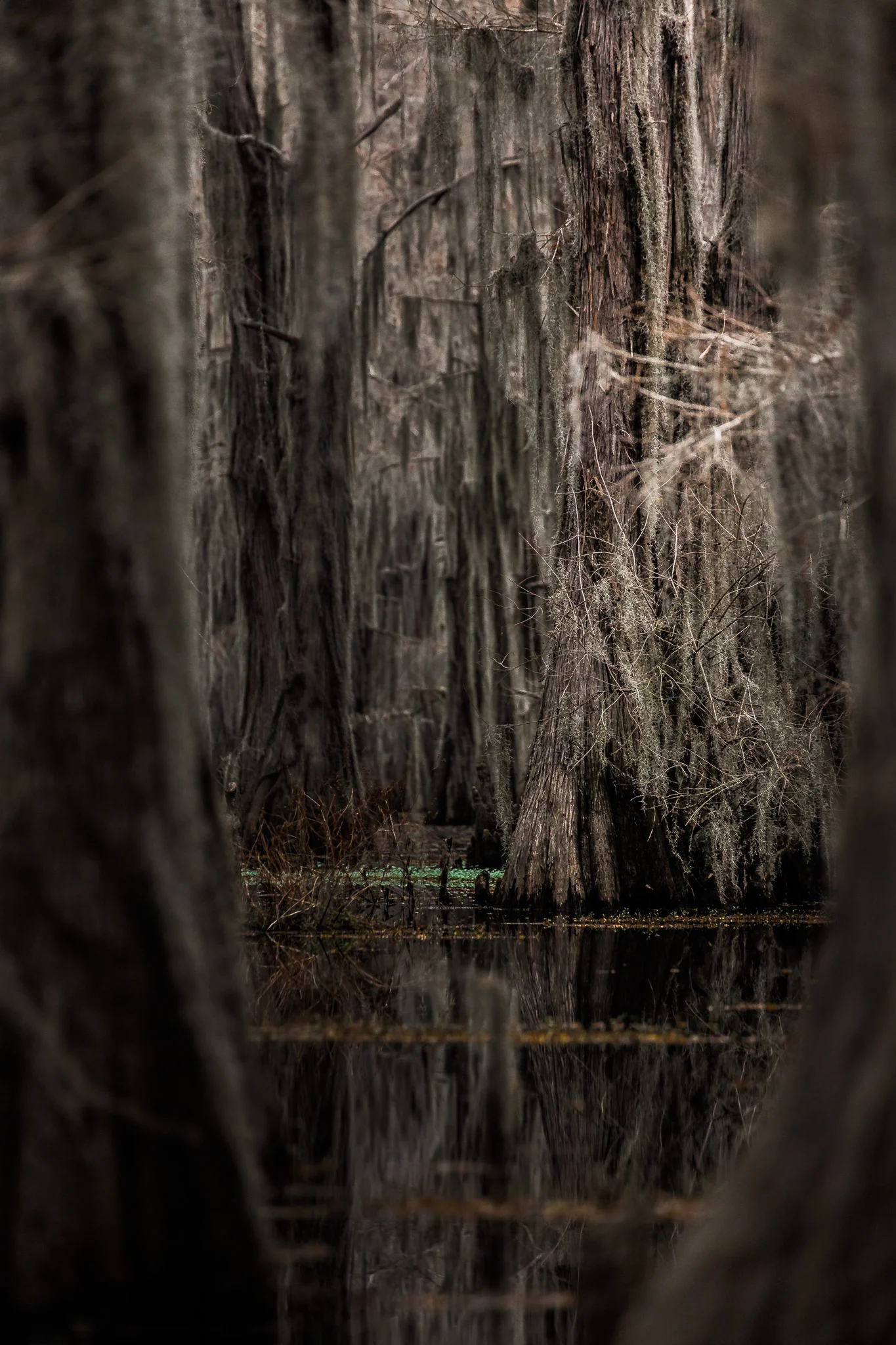 Caddo-LSS-0470.jpg