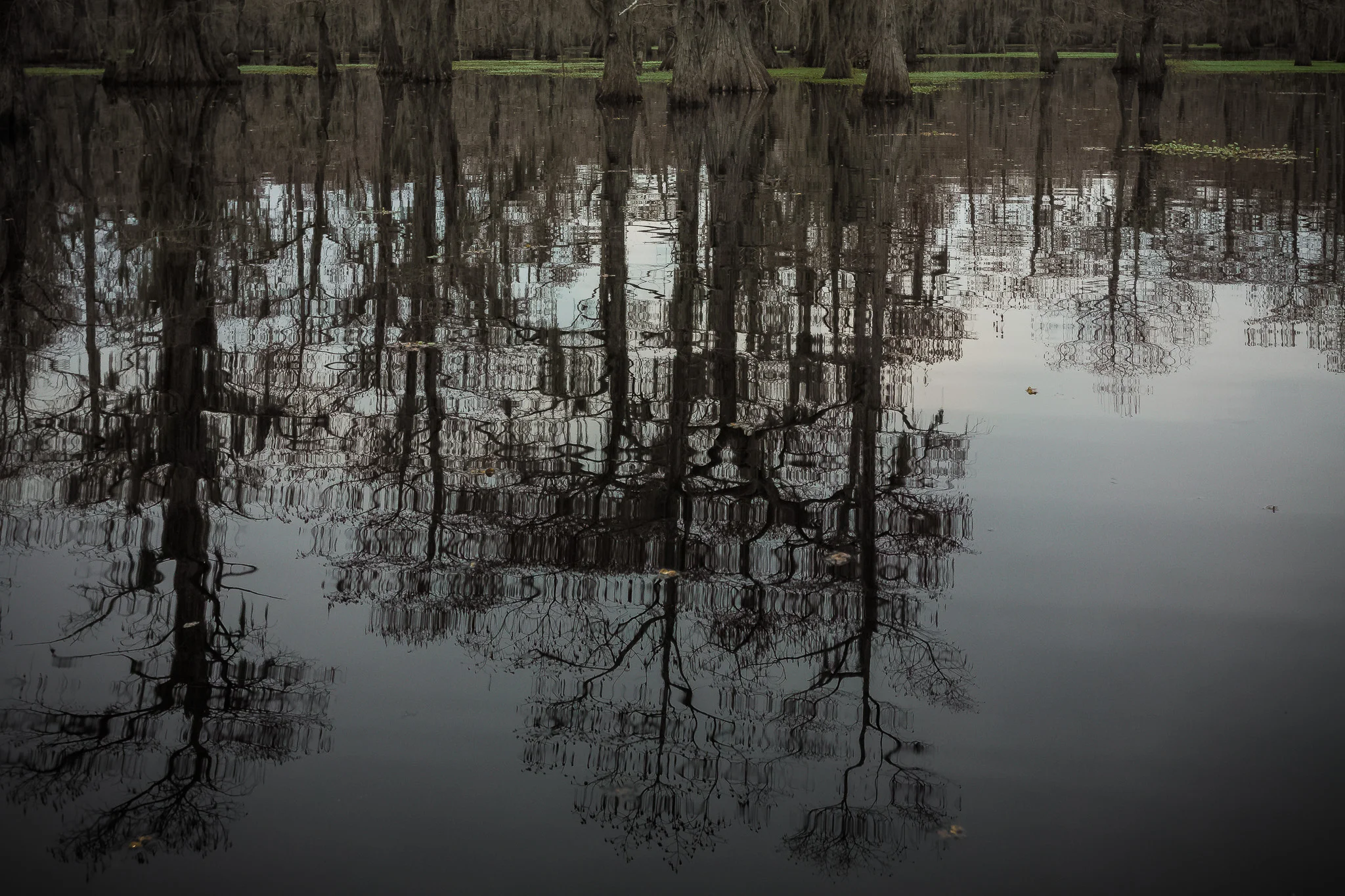Caddo-LSS-0547.jpg