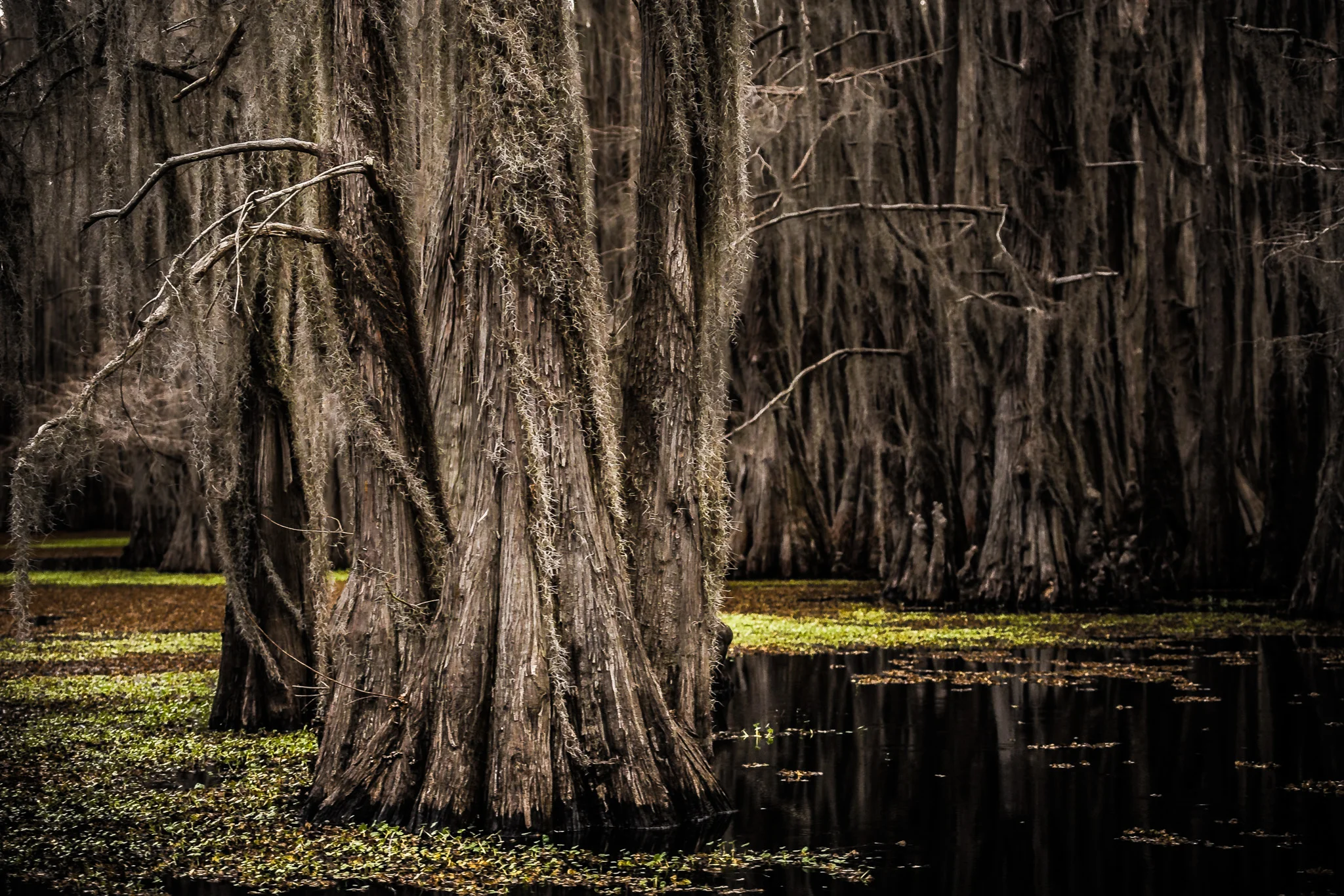 Caddo-LSS-0575.jpg