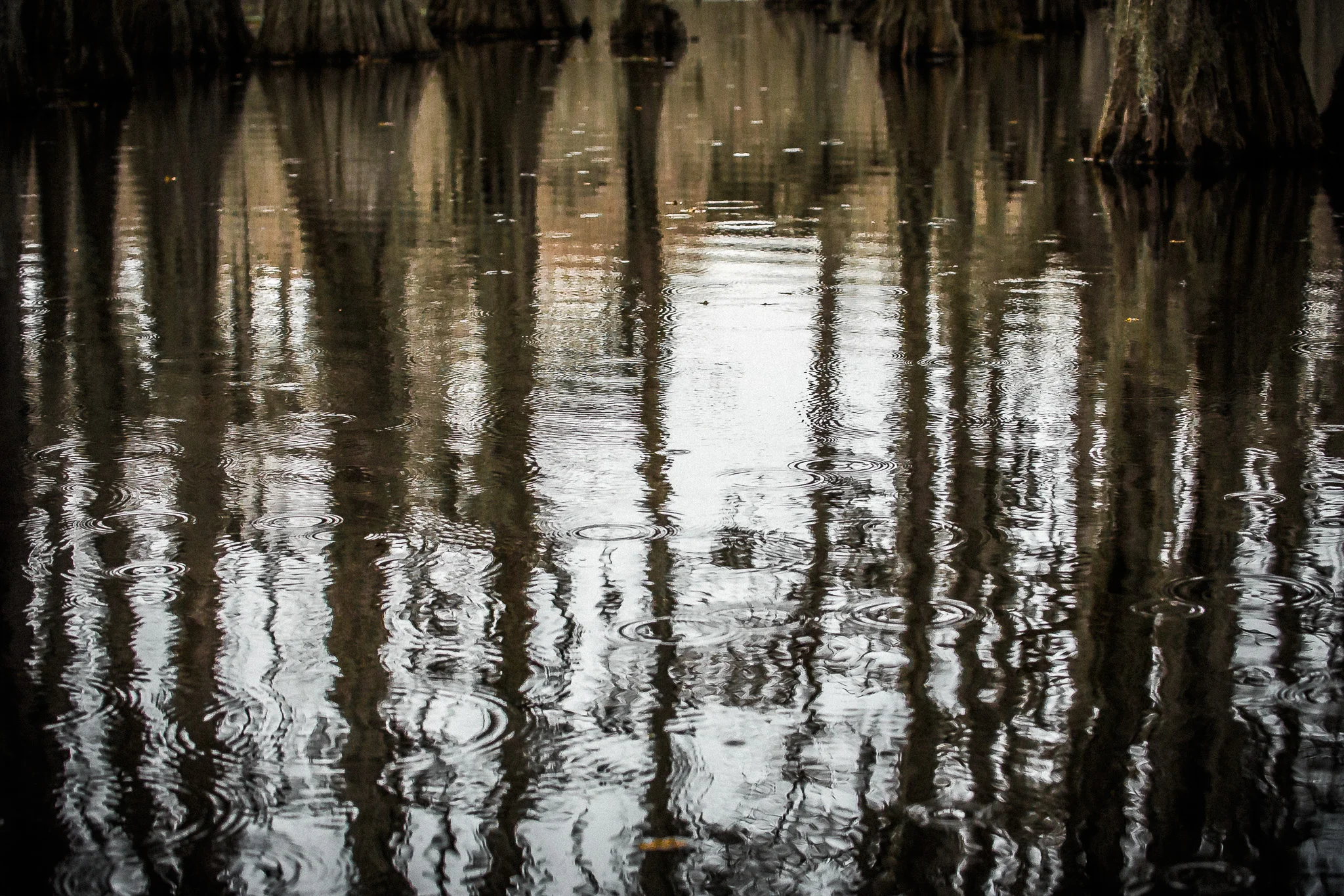 Caddo-LSS-0586.jpg