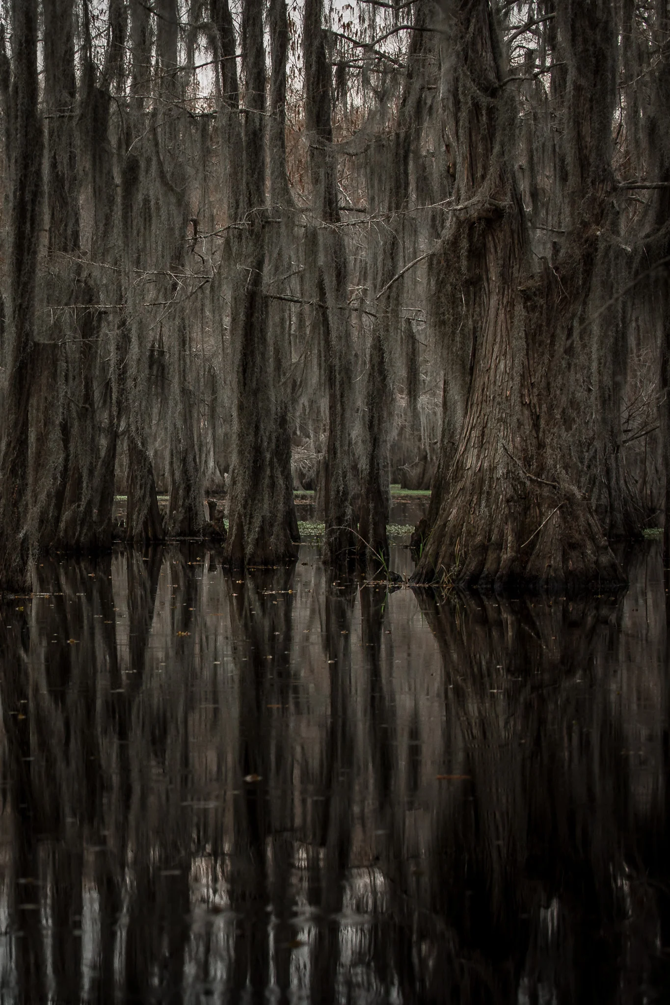 Caddo-LSS-0594.jpg