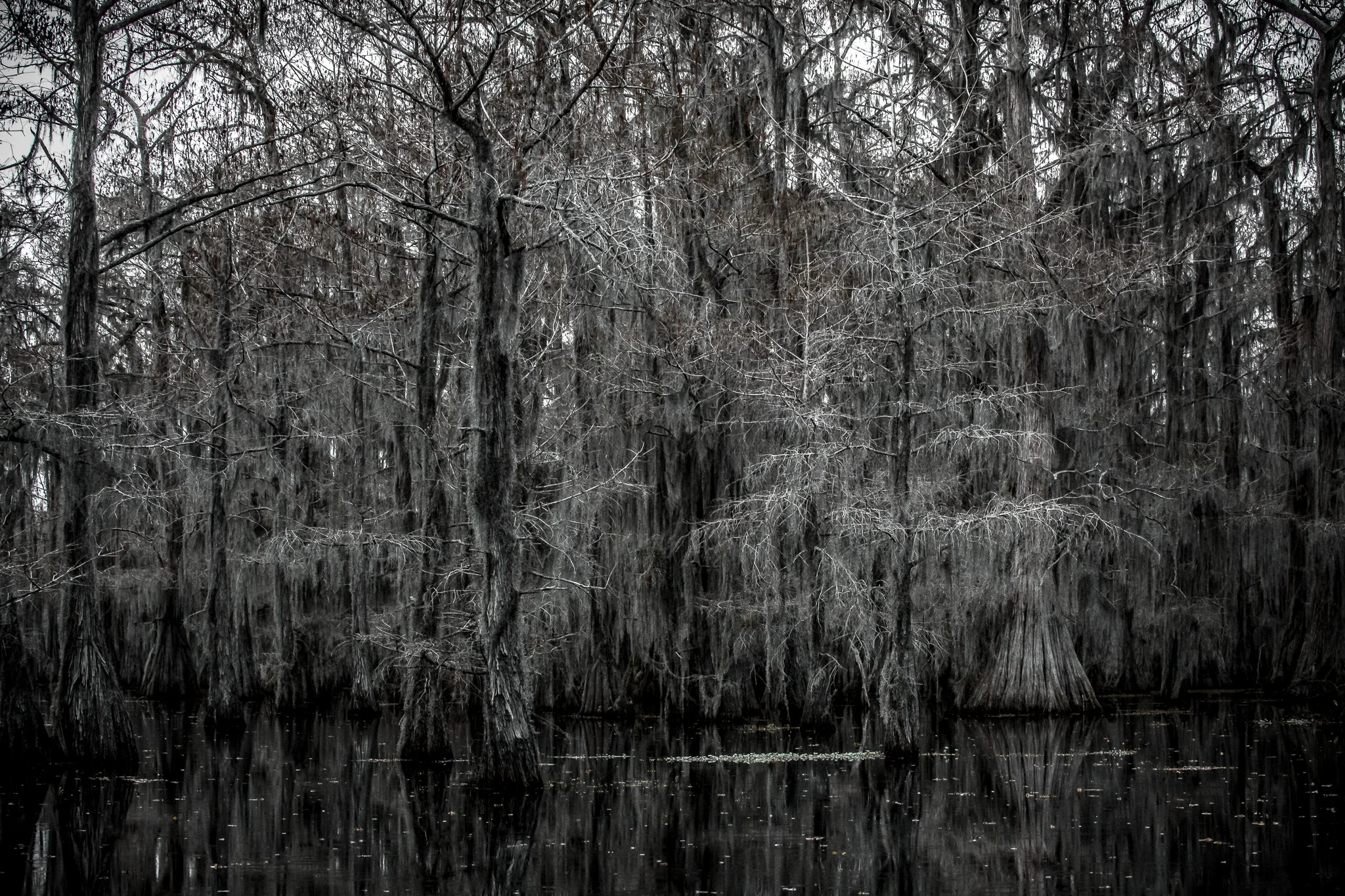 Caddo-LSS-0598.jpg