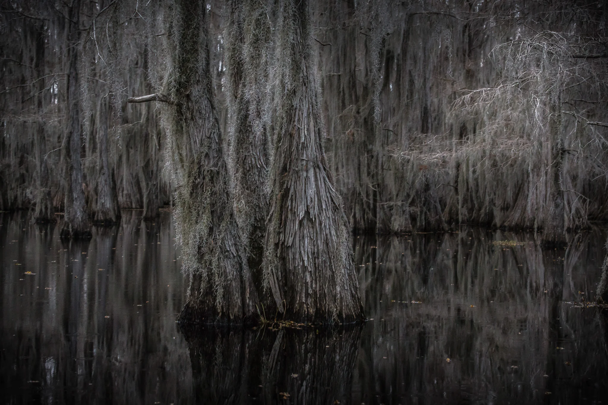 Caddo-LSS-0599.jpg