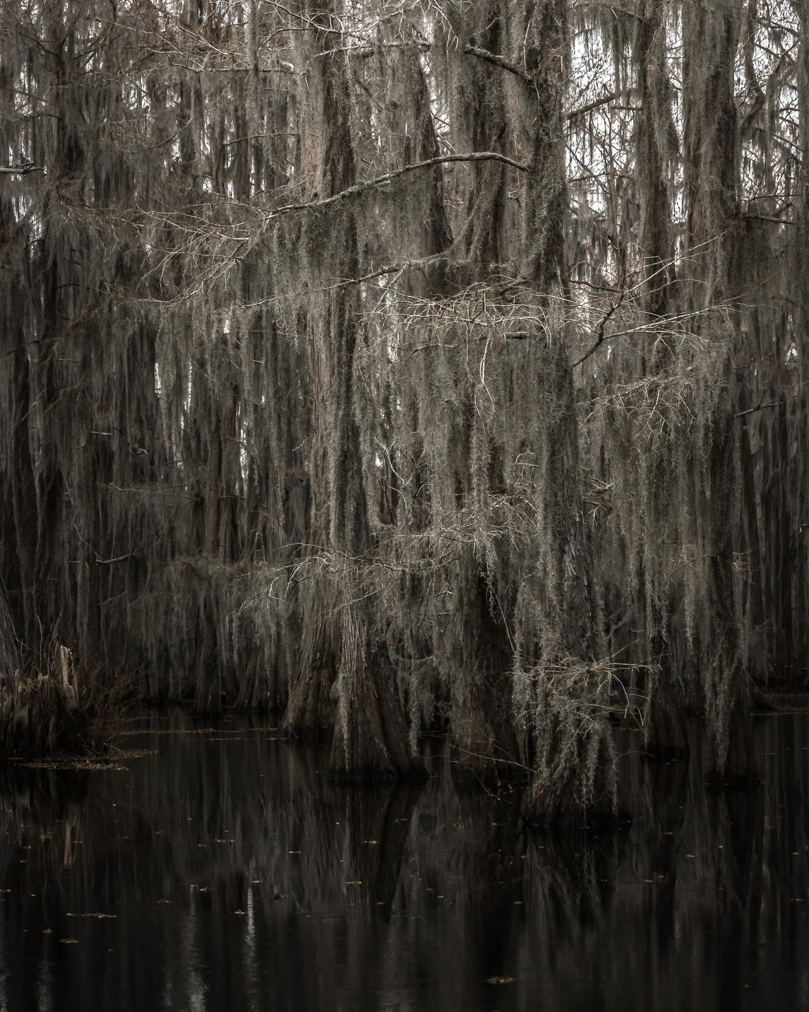 Caddo-LSS-0605.jpg