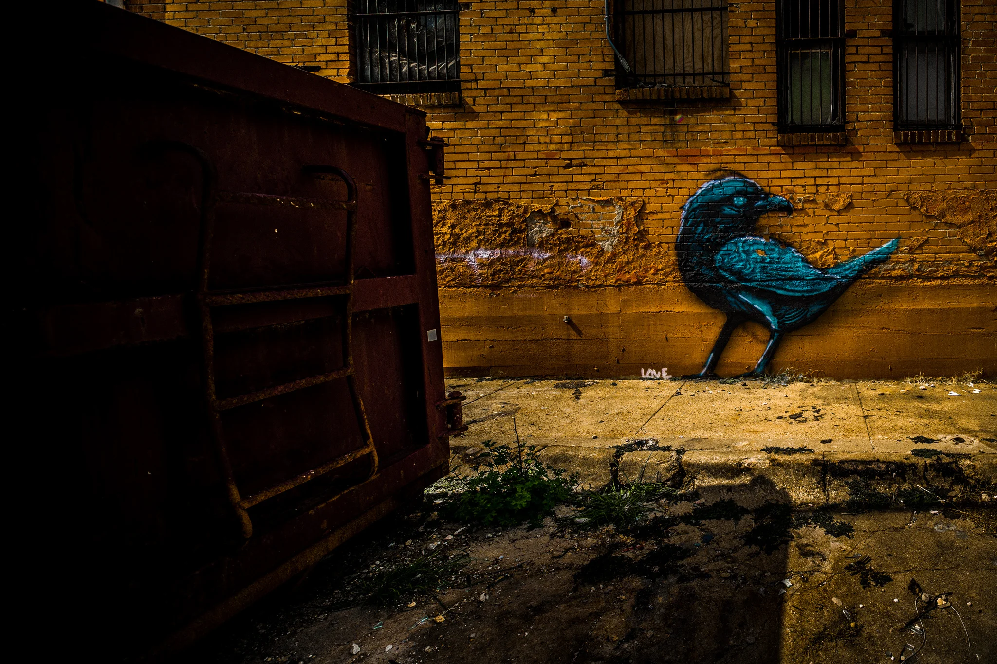 Grackle-Grafitti.jpg