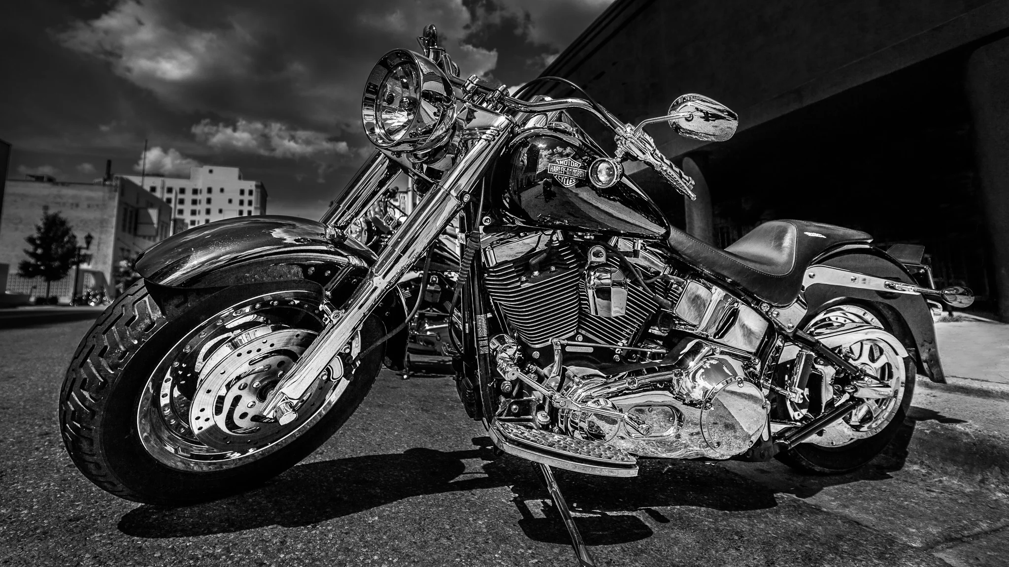 Harley-1.jpg