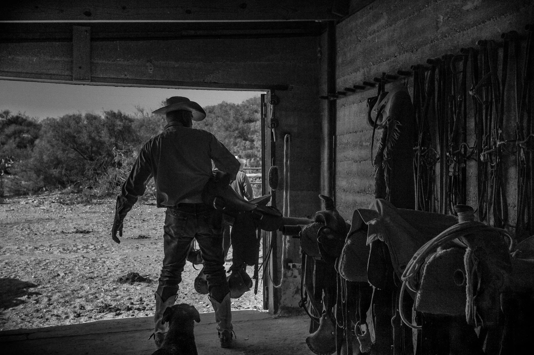Saddle Up