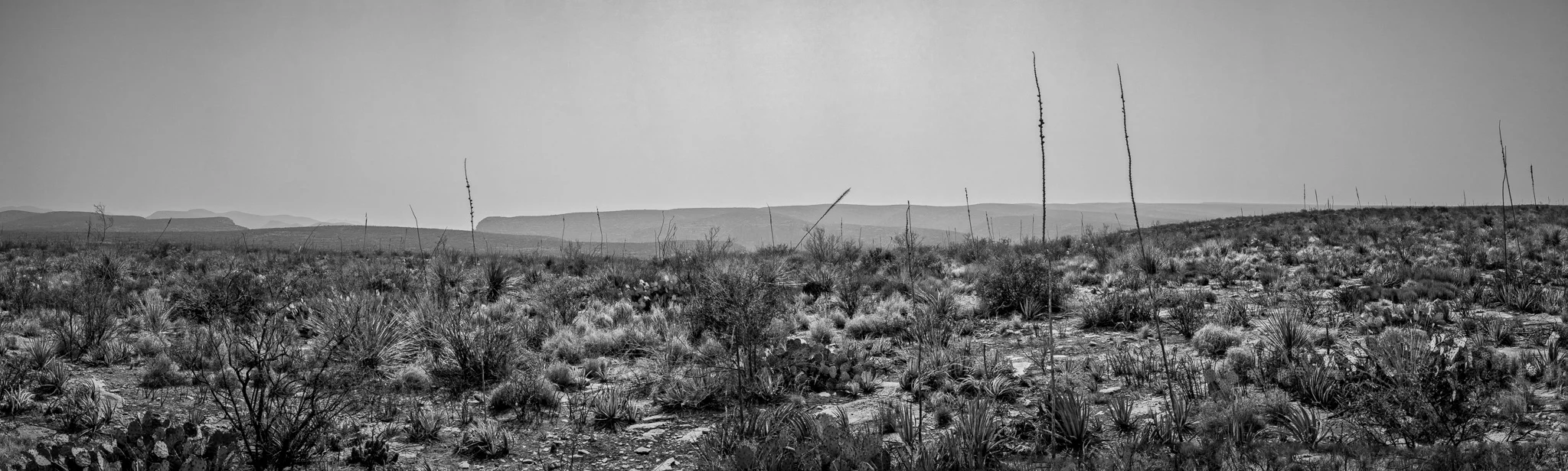 SFCR - 009.jpg