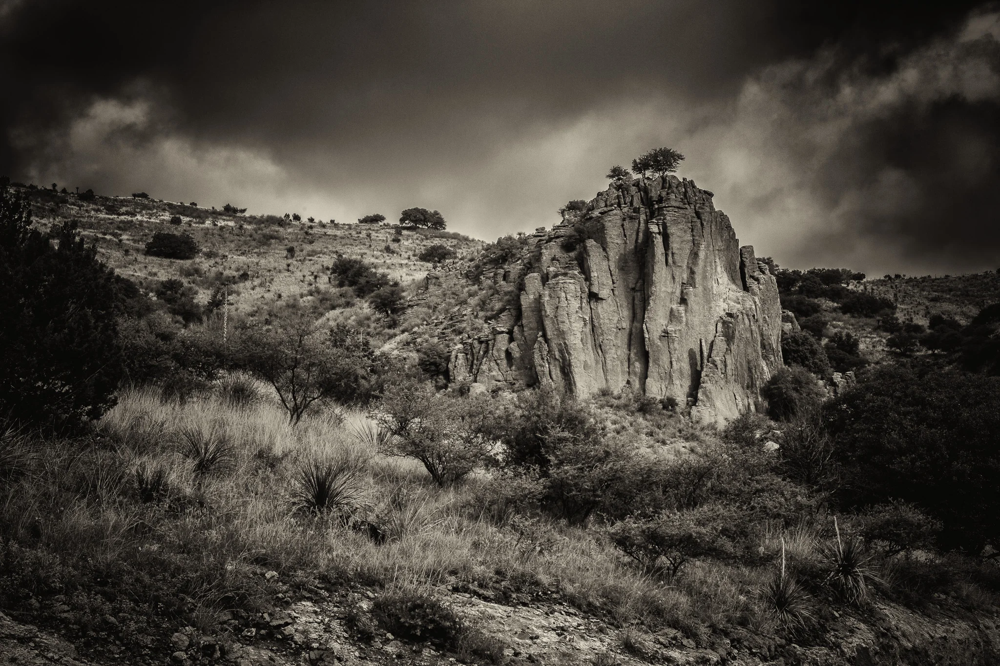 SWHDPT-010.jpg