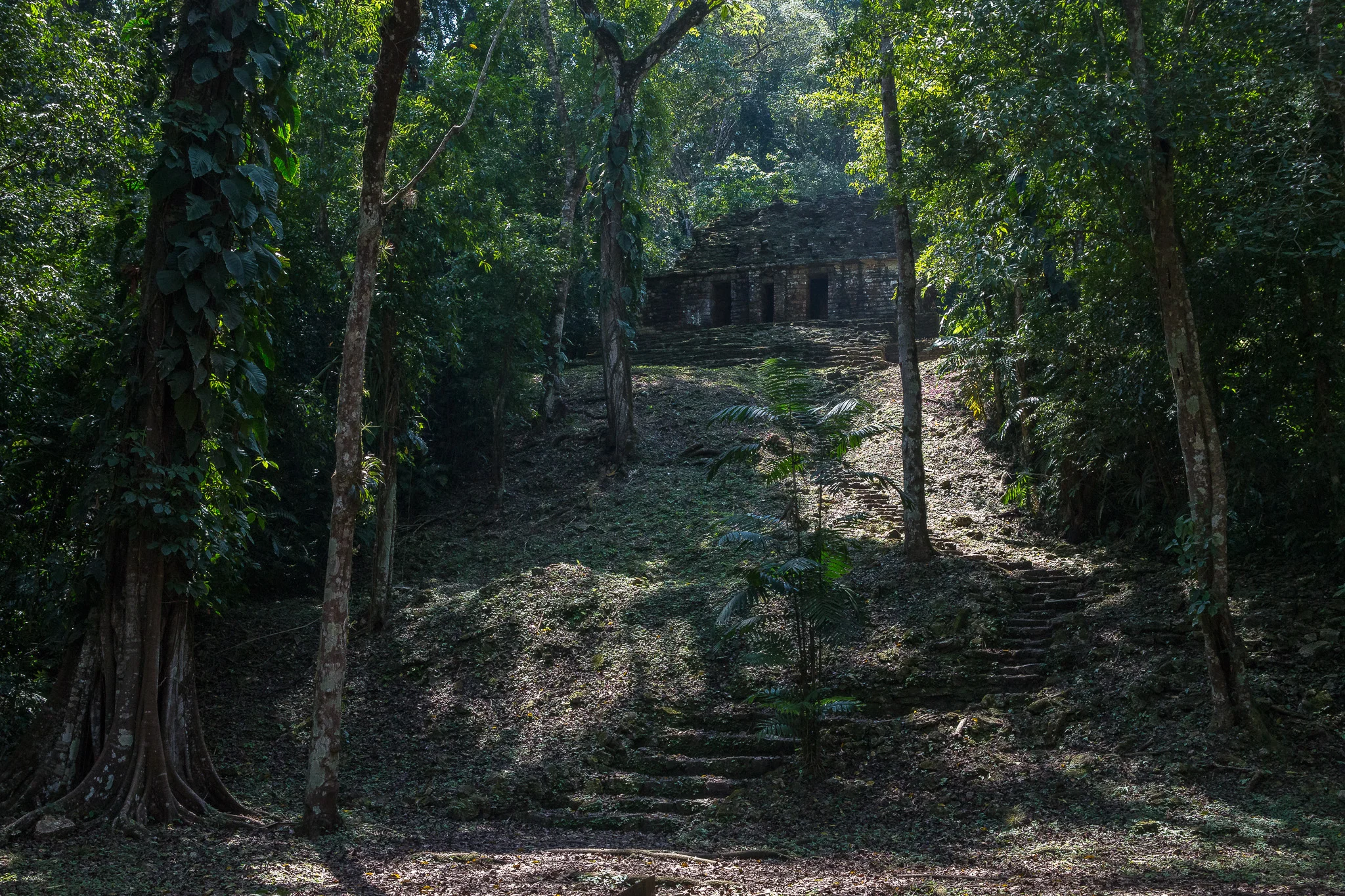 2017 - ChiapasTrip_D3_52282017 - 35.jpg