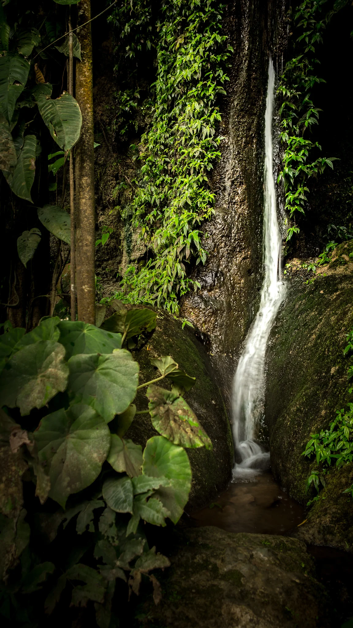 2017 - ChiapasTrip_D3_45002017-HDR - 13.jpg