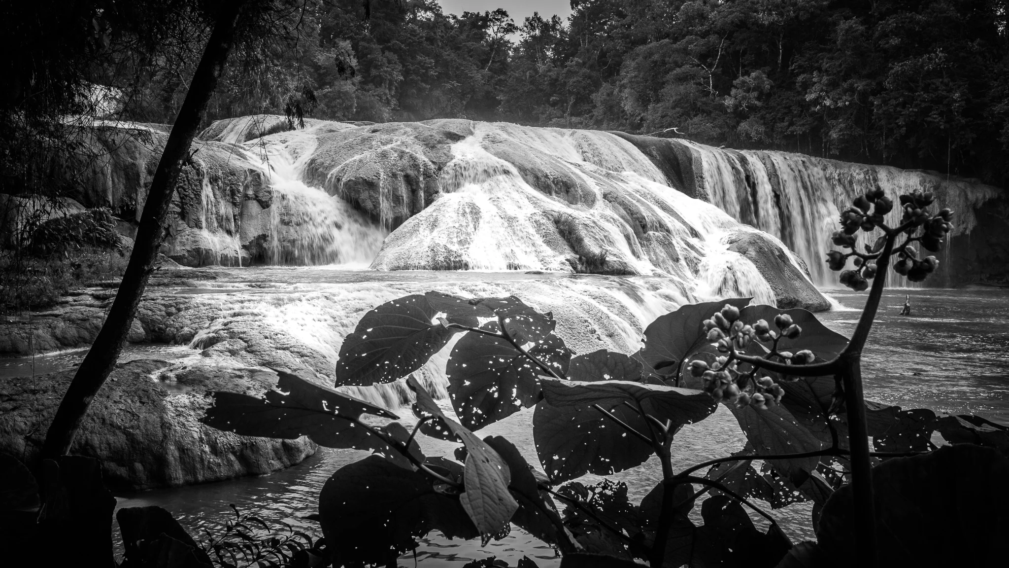 2017 - ChiapasTrip_D3_47572017-HDR - 18.jpg