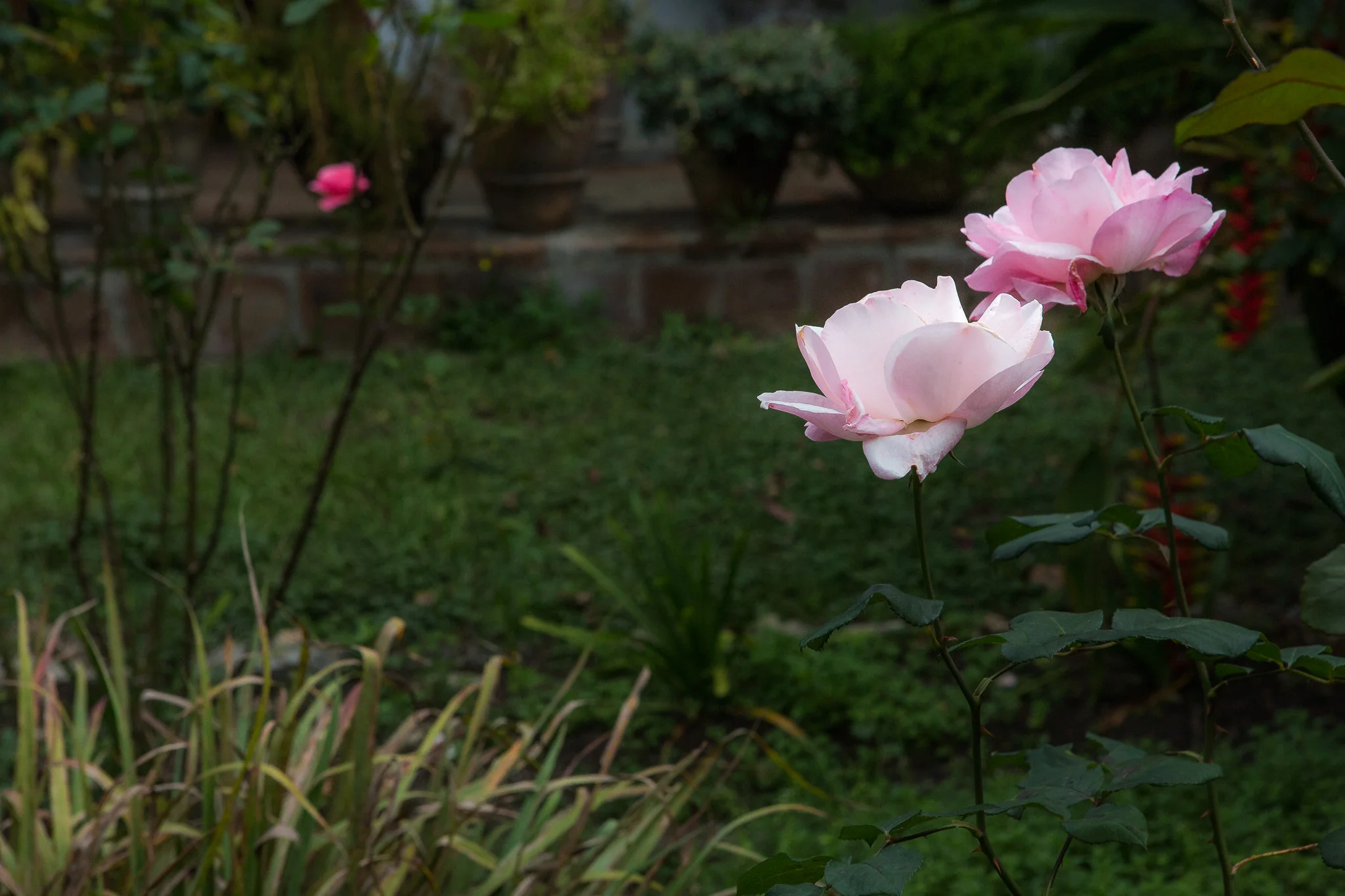 2017 - ChiapasTrip_D3_61432017 - 93.jpg
