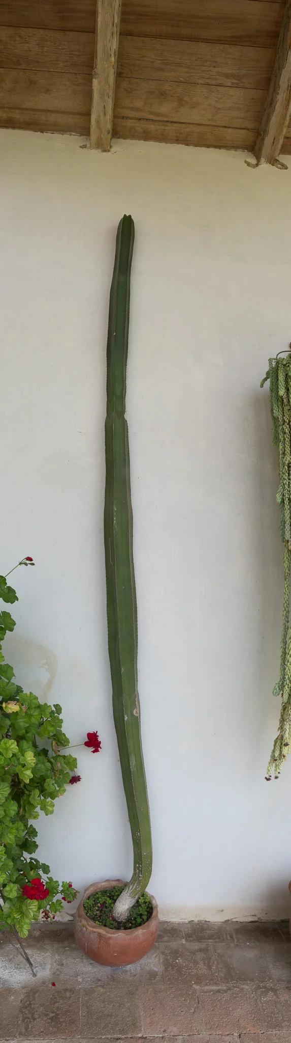 2017 - ChiapasTrip_D3_61672017-Pano - 101.jpg