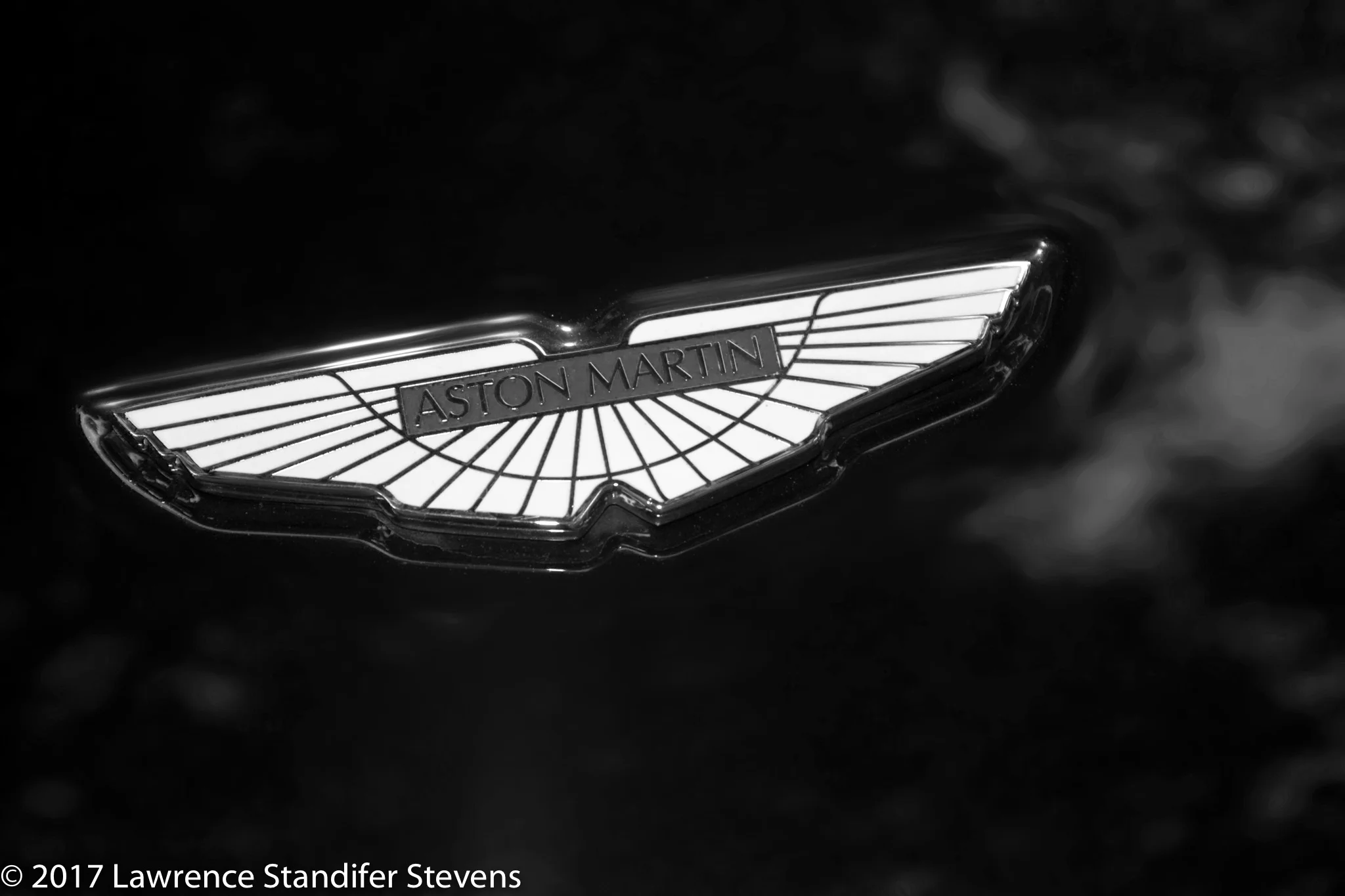 TSAP - ©2017 Lawrence Standifer Stevens-0020-(6144 x 4096).jpg