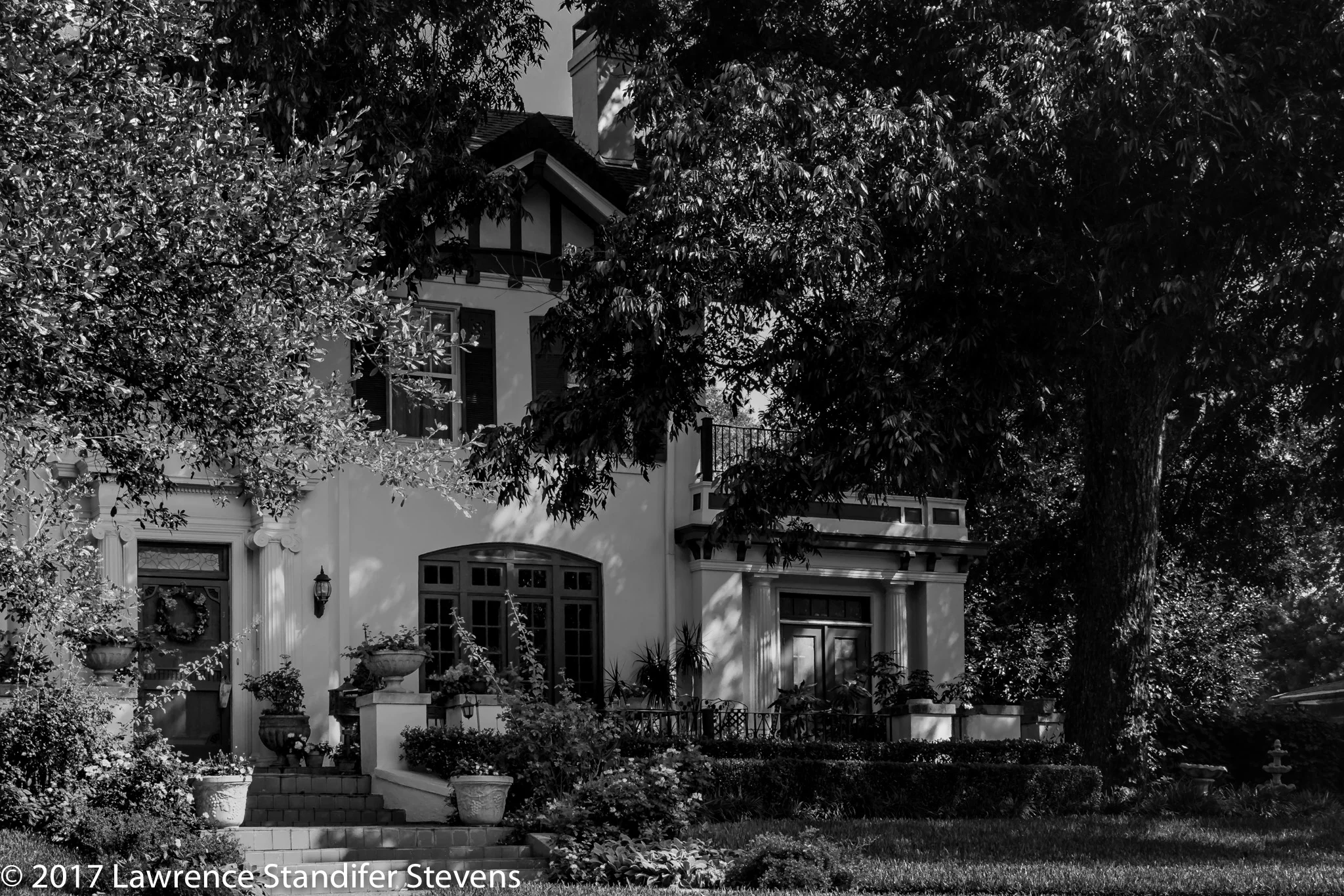 TSAP - ©2017 Lawrence Standifer Stevens-0082-(4752 x 3168).jpg