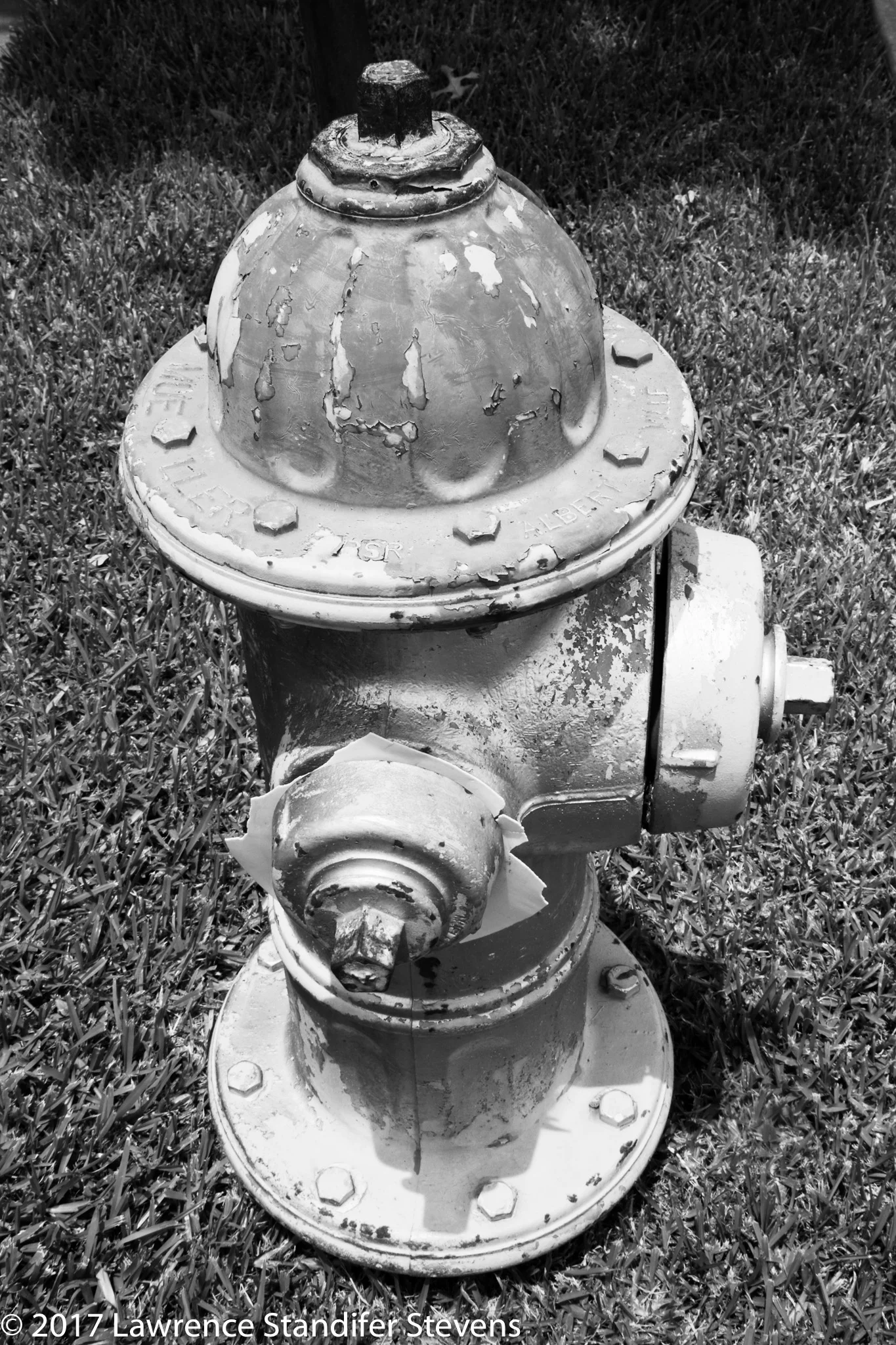 TSAP - ©2017 Lawrence Standifer Stevens-0128-(4096 x 6144).jpg