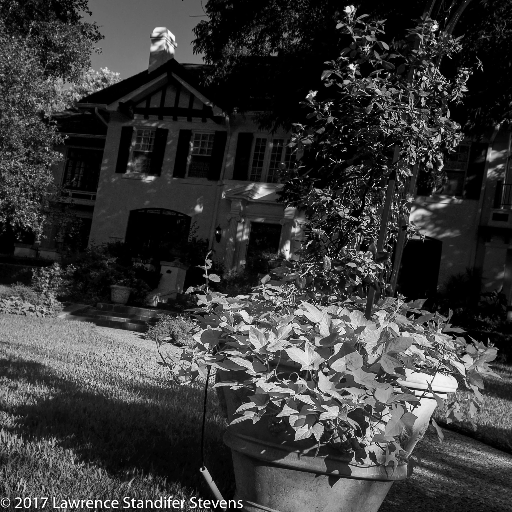 TSAP - ©2017 Lawrence Standifer Stevens-0187-(3988 x 3988).jpg