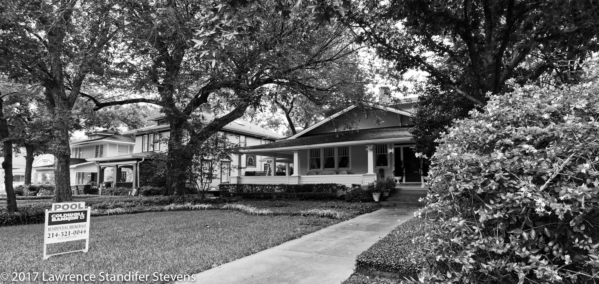 TSAP - ©2017 Lawrence Standifer Stevens-0272-(11284 x 5351).jpg