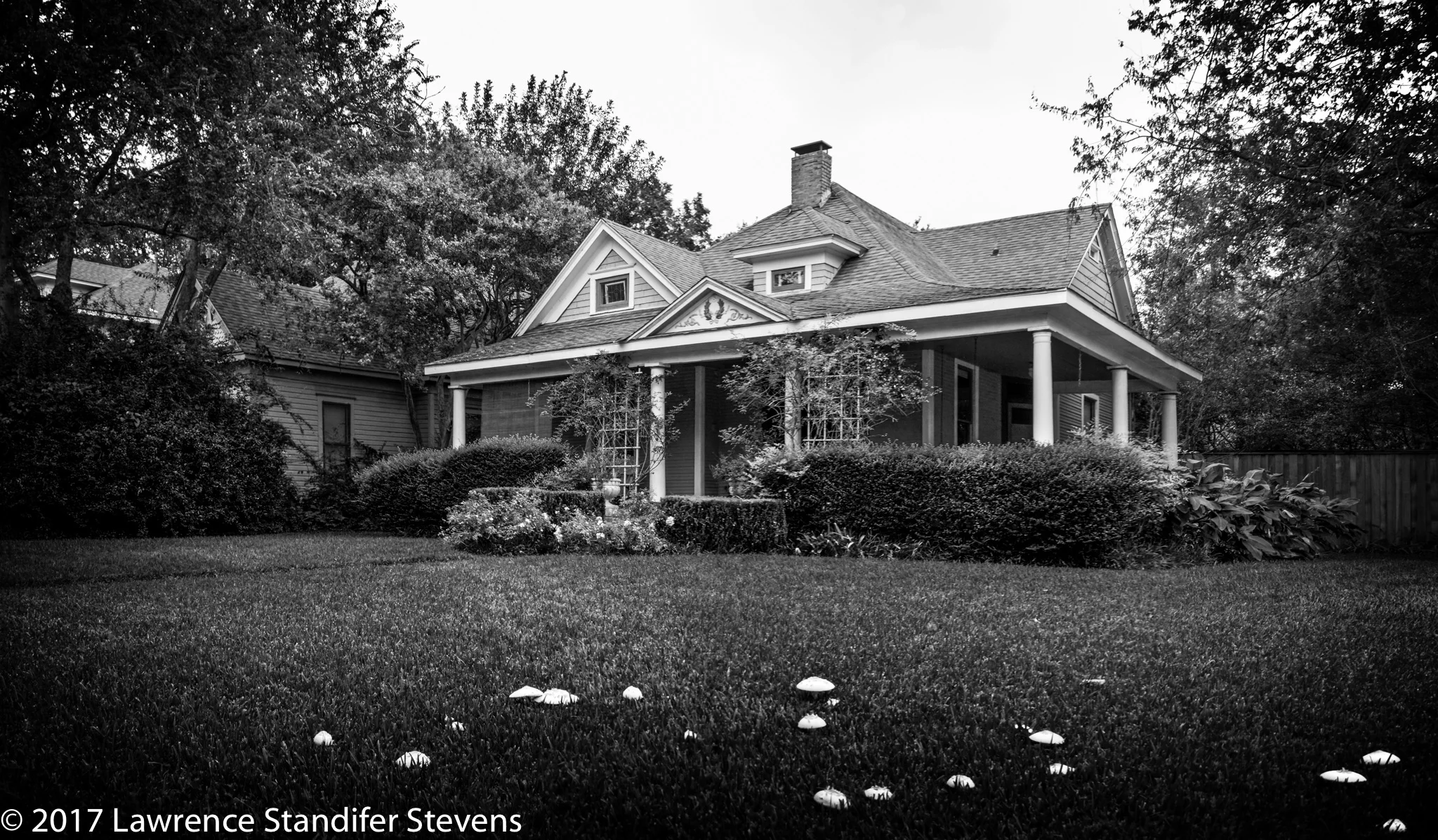 TSAP - ©2017 Lawrence Standifer Stevens-0273-(10211 x 5970).jpg