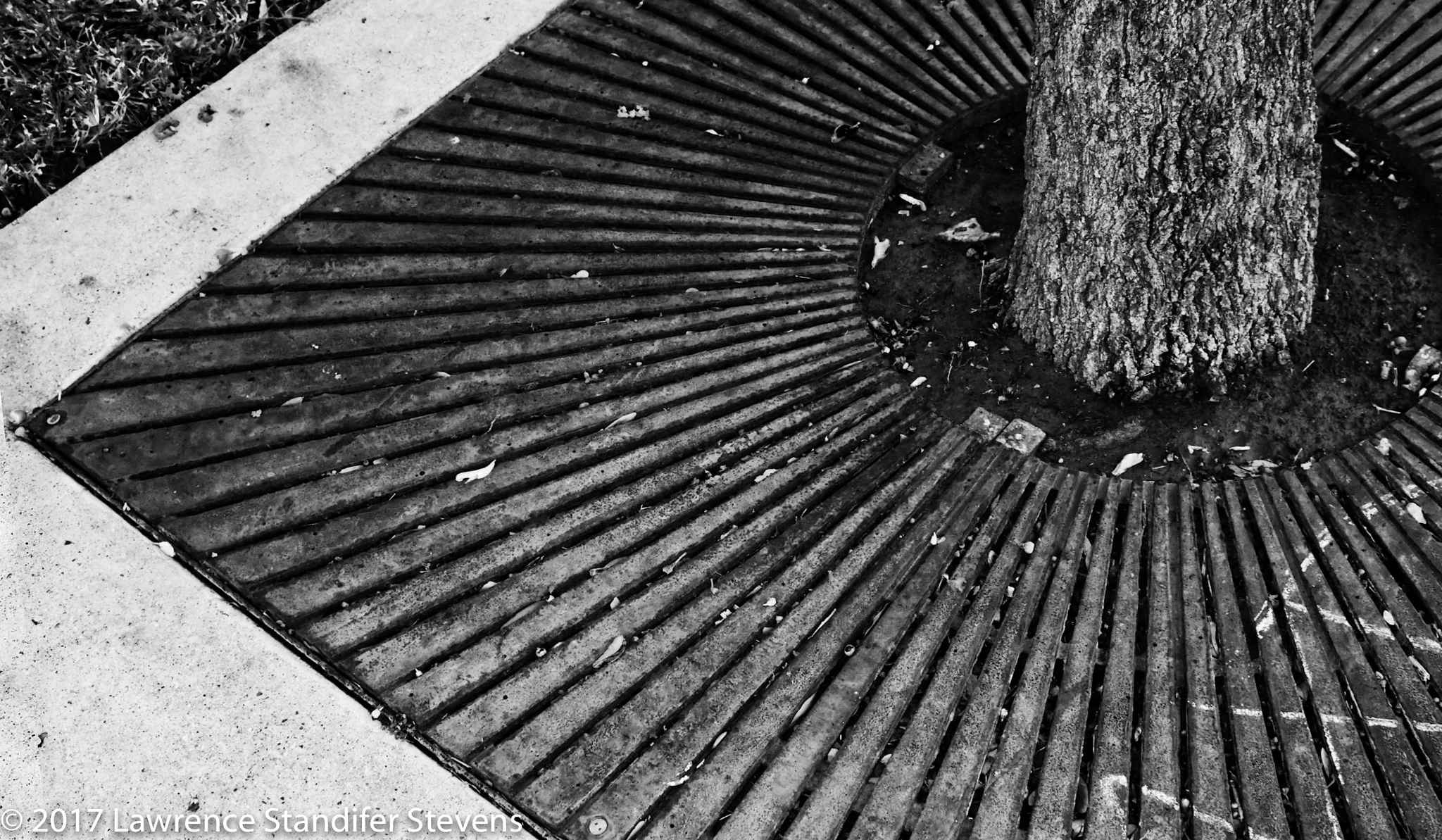 TSAP - ©2017 Lawrence Standifer Stevens-0277-(5747 x 3349).jpg
