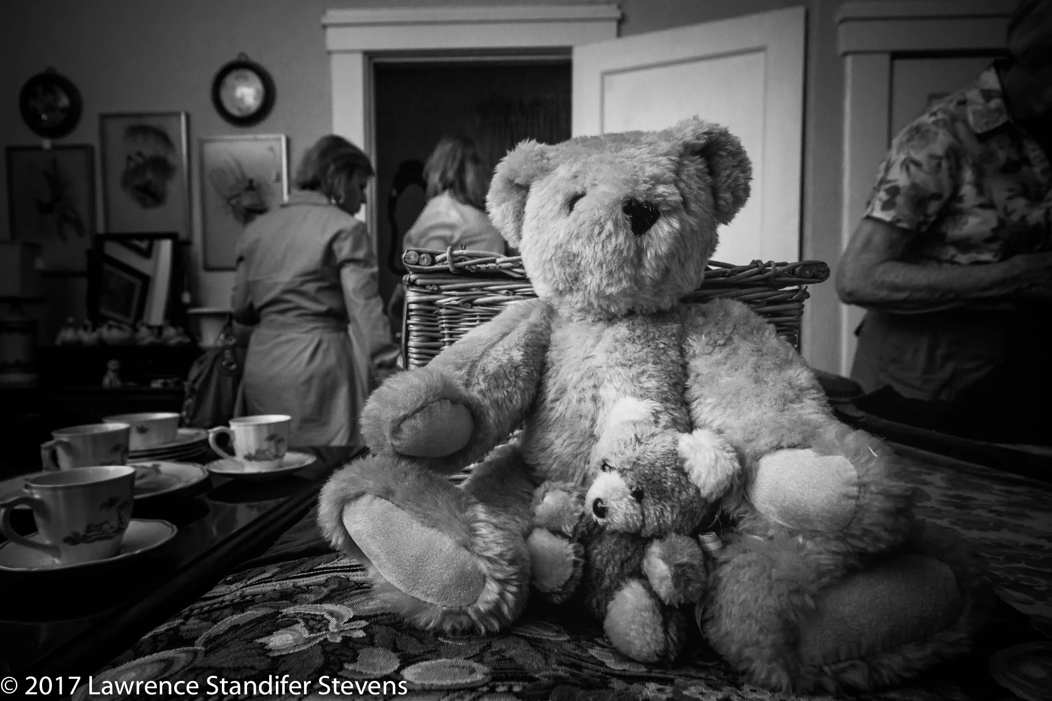 TSAP - ©2017 Lawrence Standifer Stevens-0340-(5184 x 3456).jpg