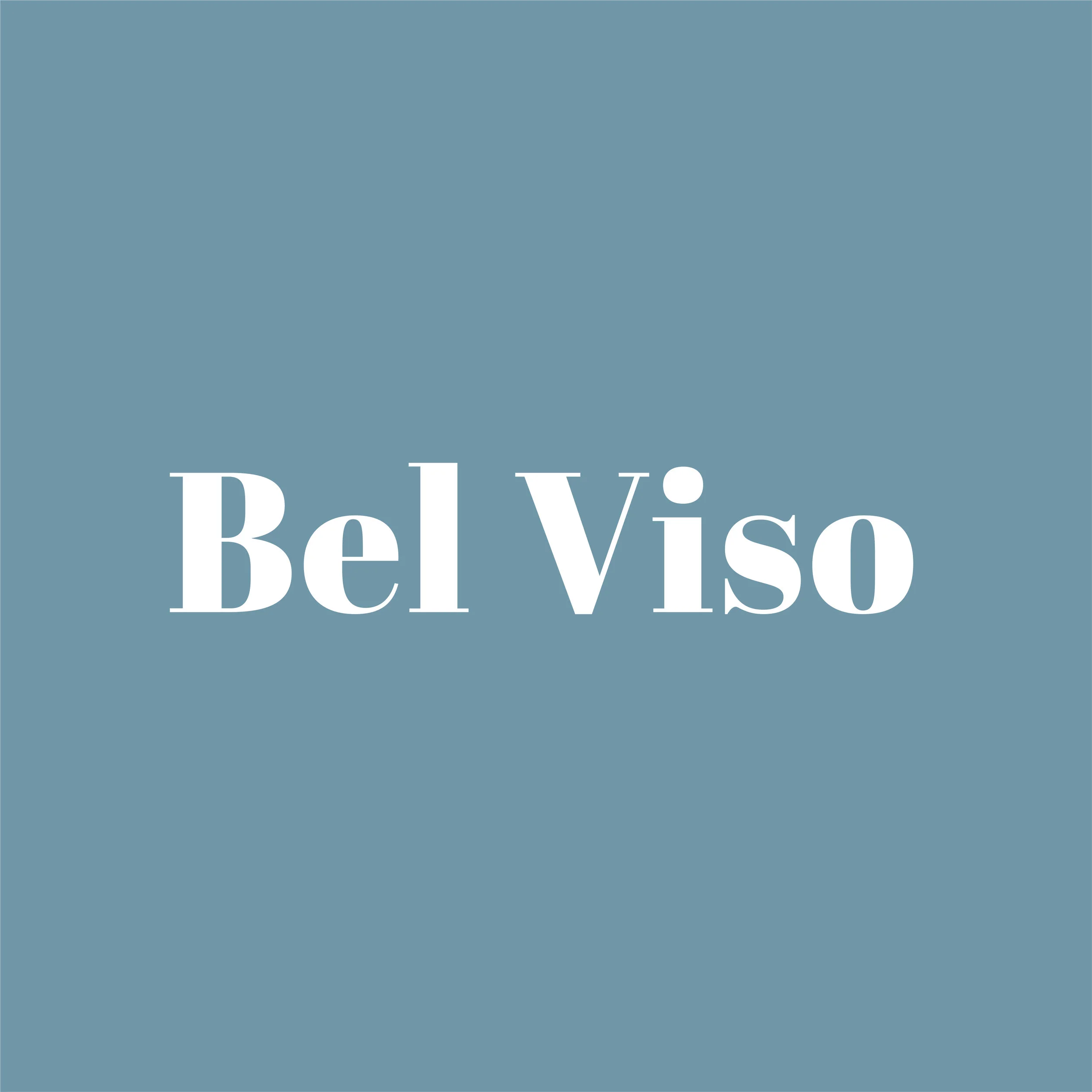 belviso_logo.jpg