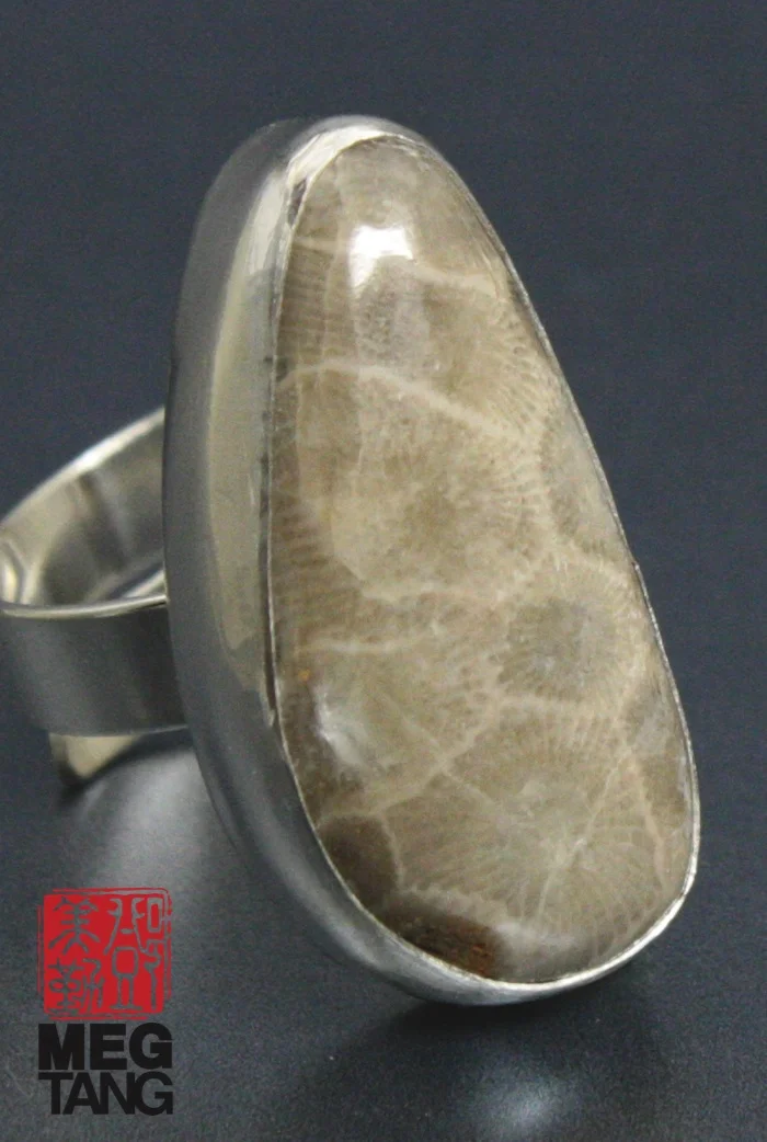 Sterling Silver, Petoskey Stone