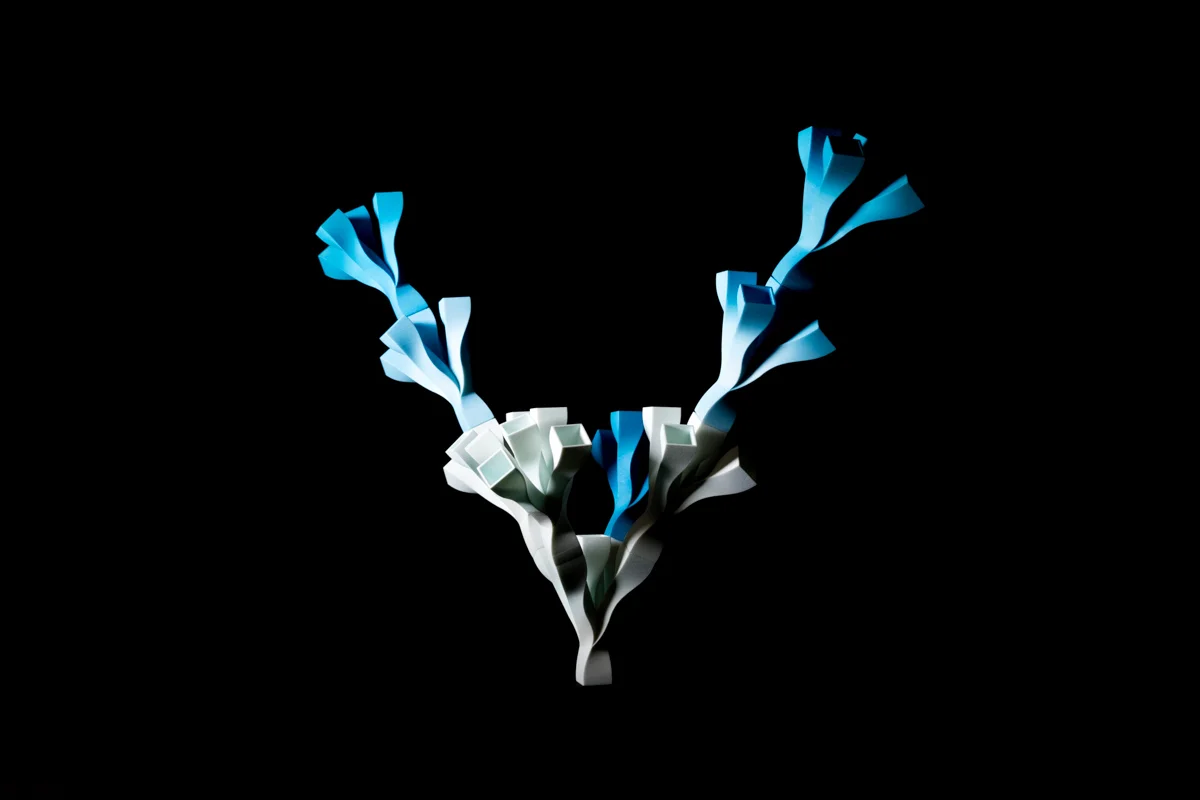 01/26/2016무겁다. 그리고 그 무거움으로 살아간다.&nbsp;Exhausted.....But I can live with that.