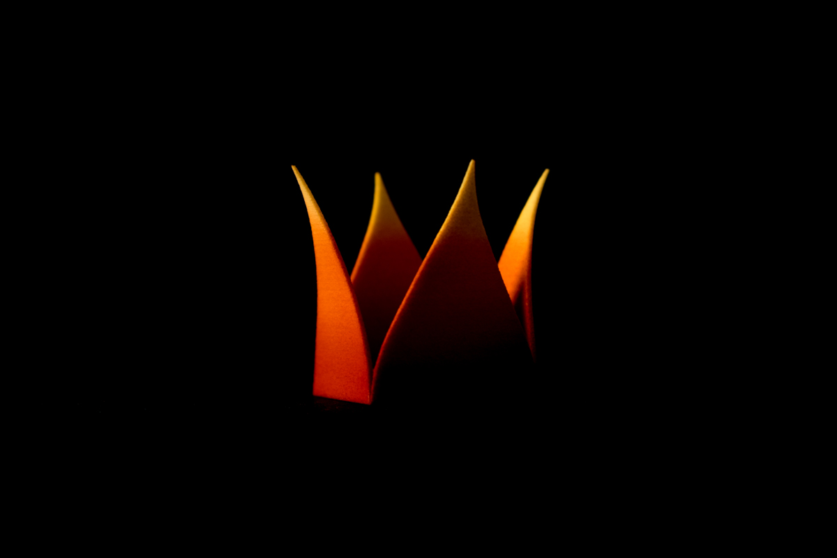 01/31/2016 분노 Fury