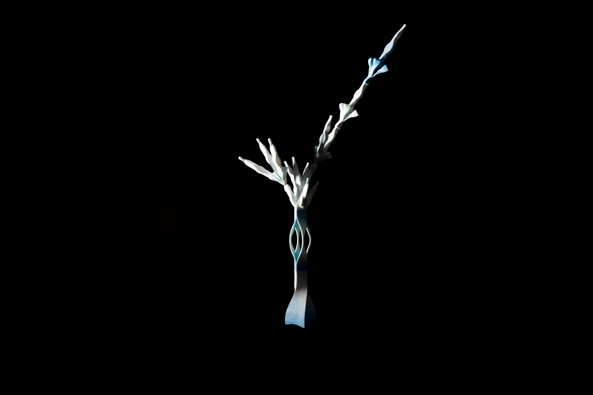 02/08/2016 하늘에 닿다. I reach to the sky.